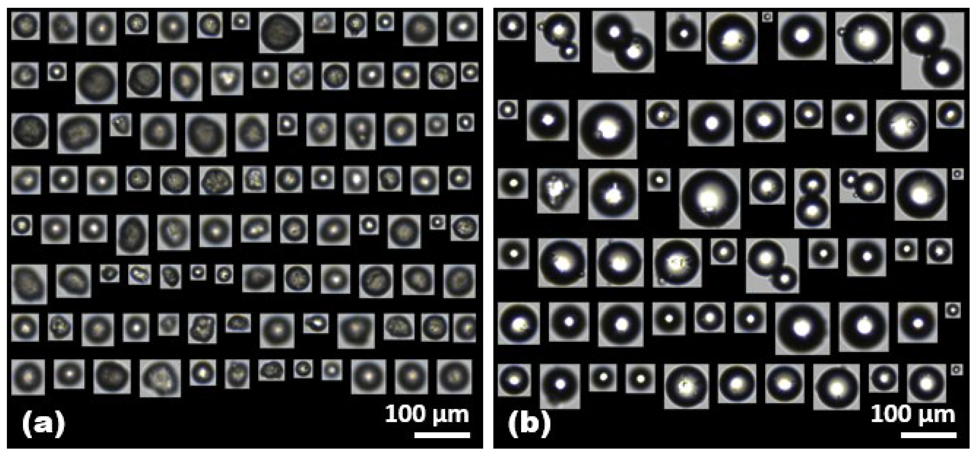 Molecules 28 06913 g001