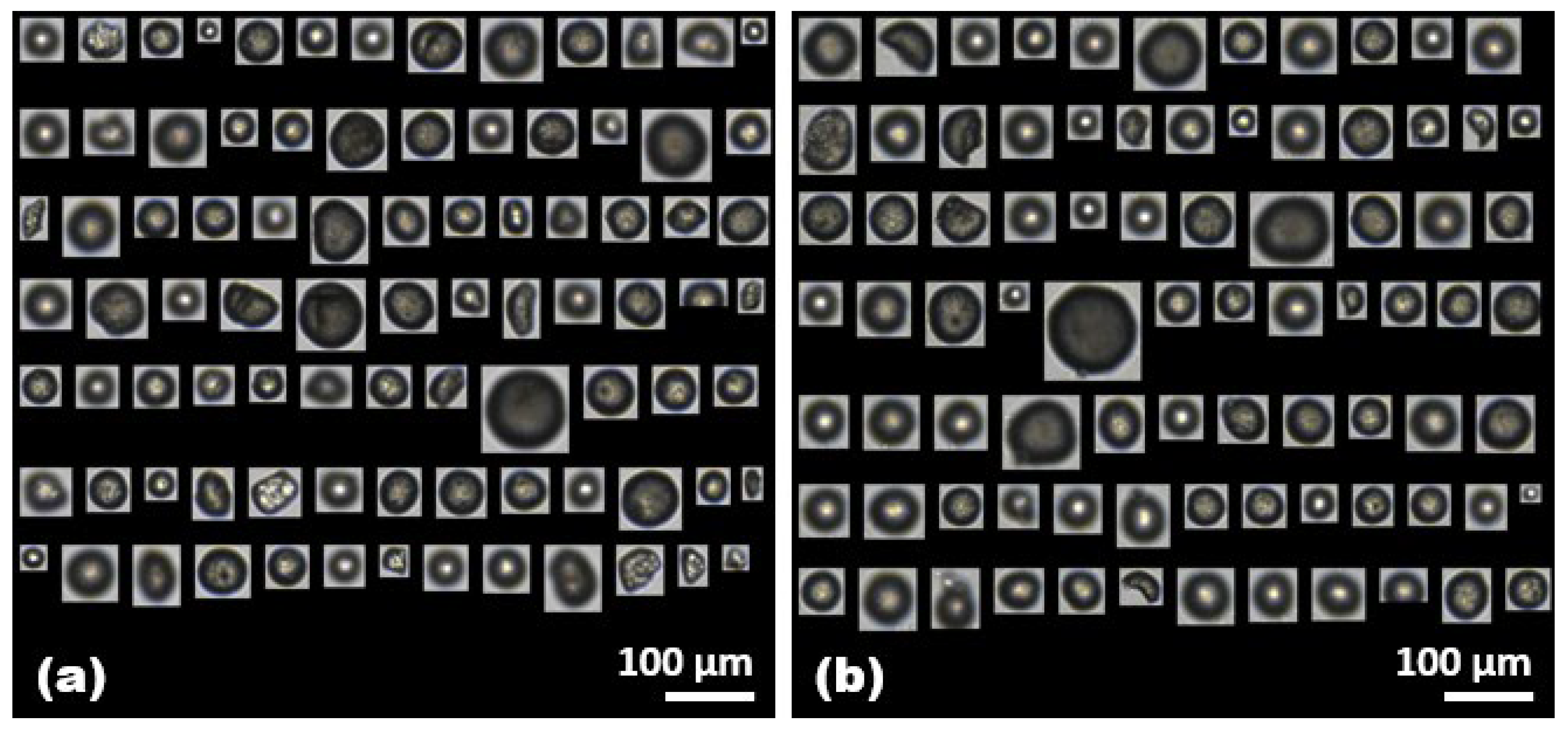 Molecules 28 06913 g003