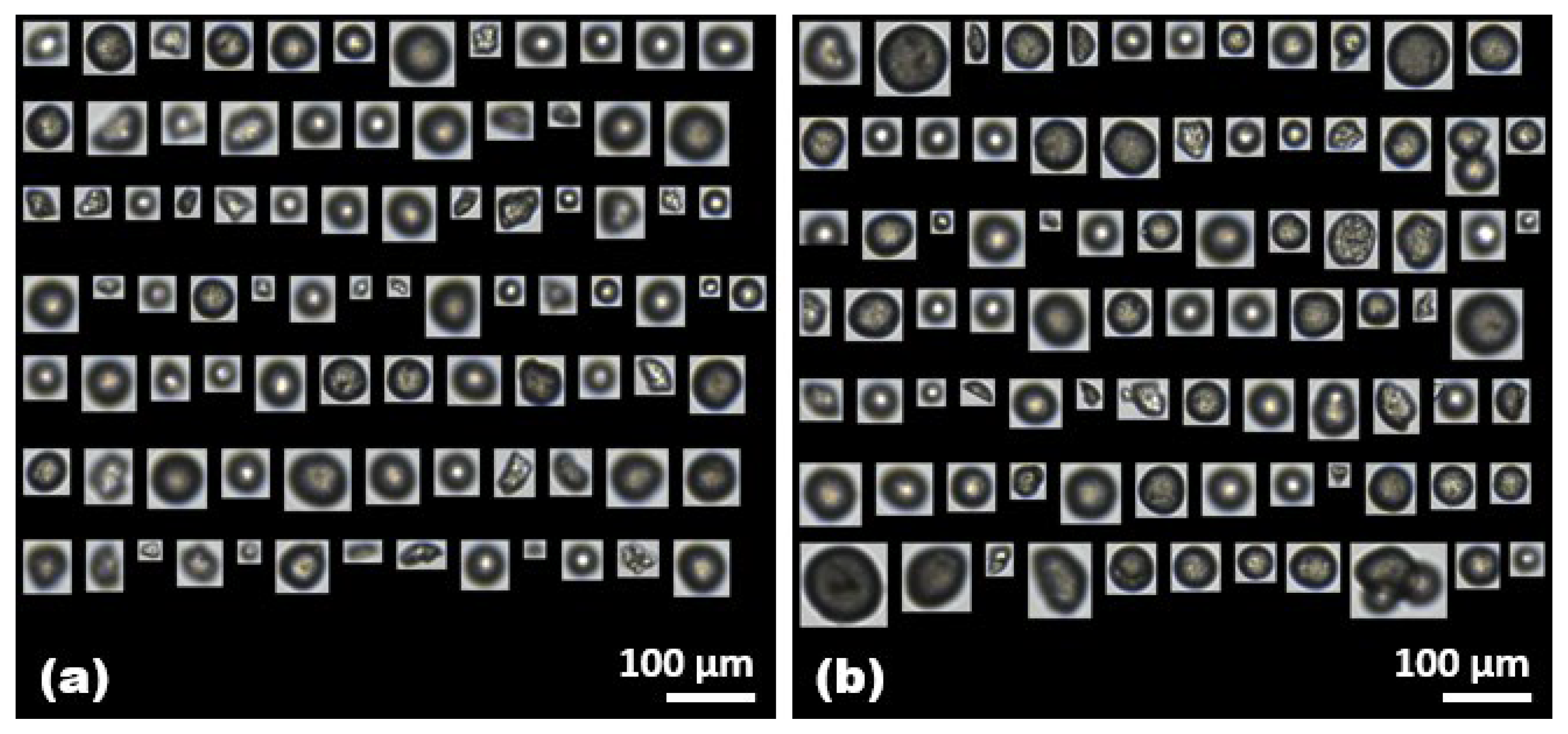 Molecules 28 06913 g005