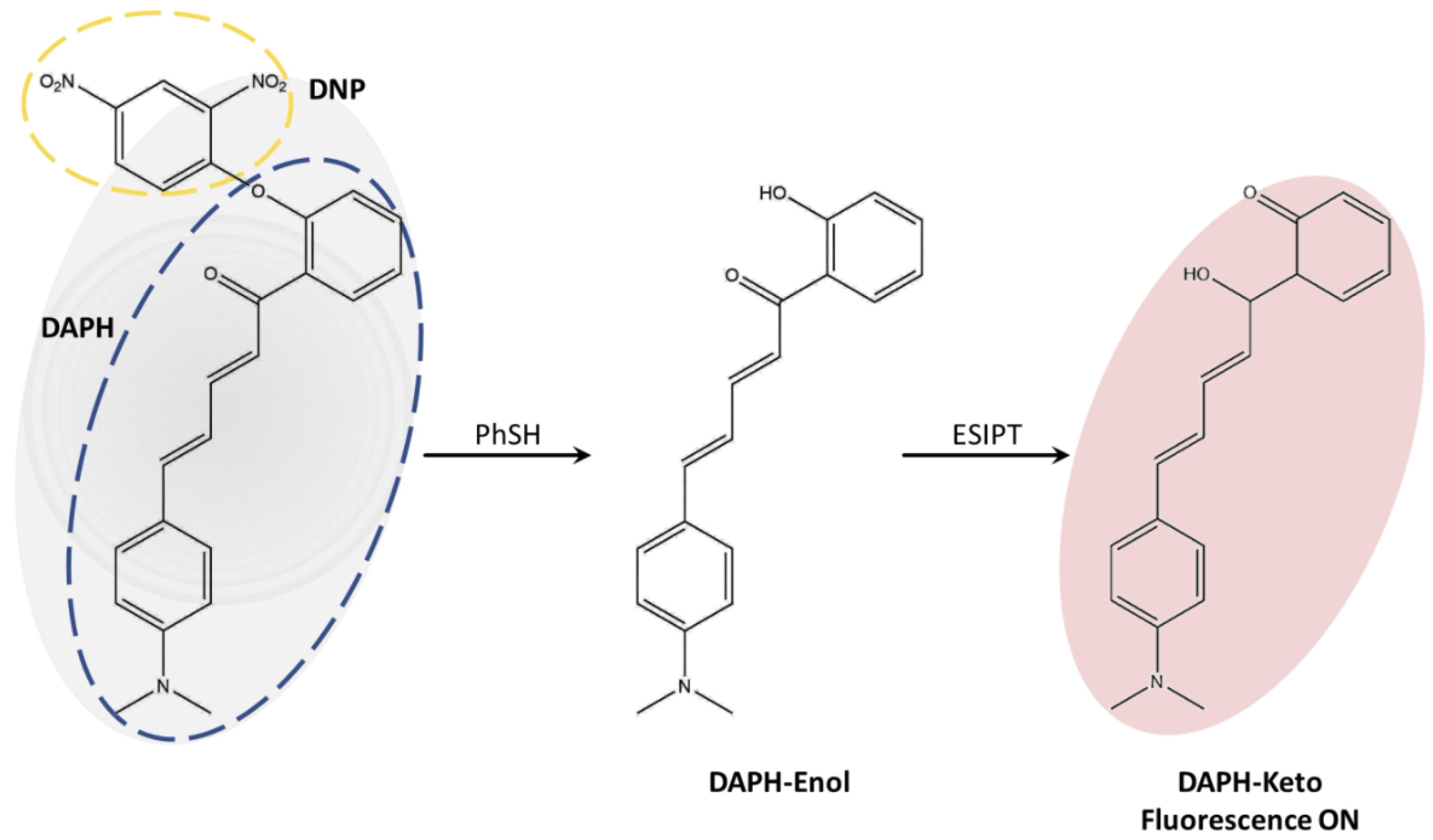 Molecules 28 06921 sch001