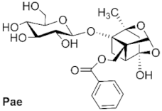 Molecules 28 06922 i004