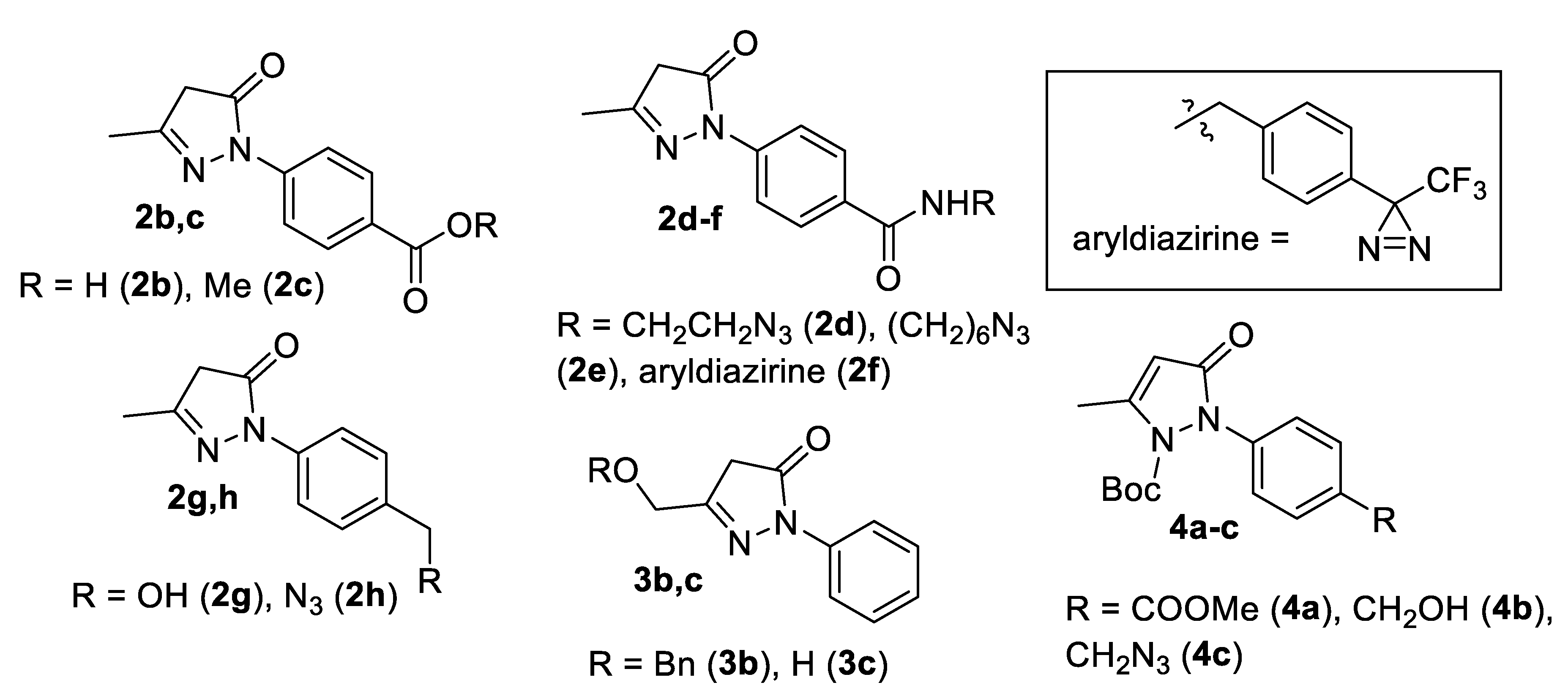 Molecules 28 06928 g002