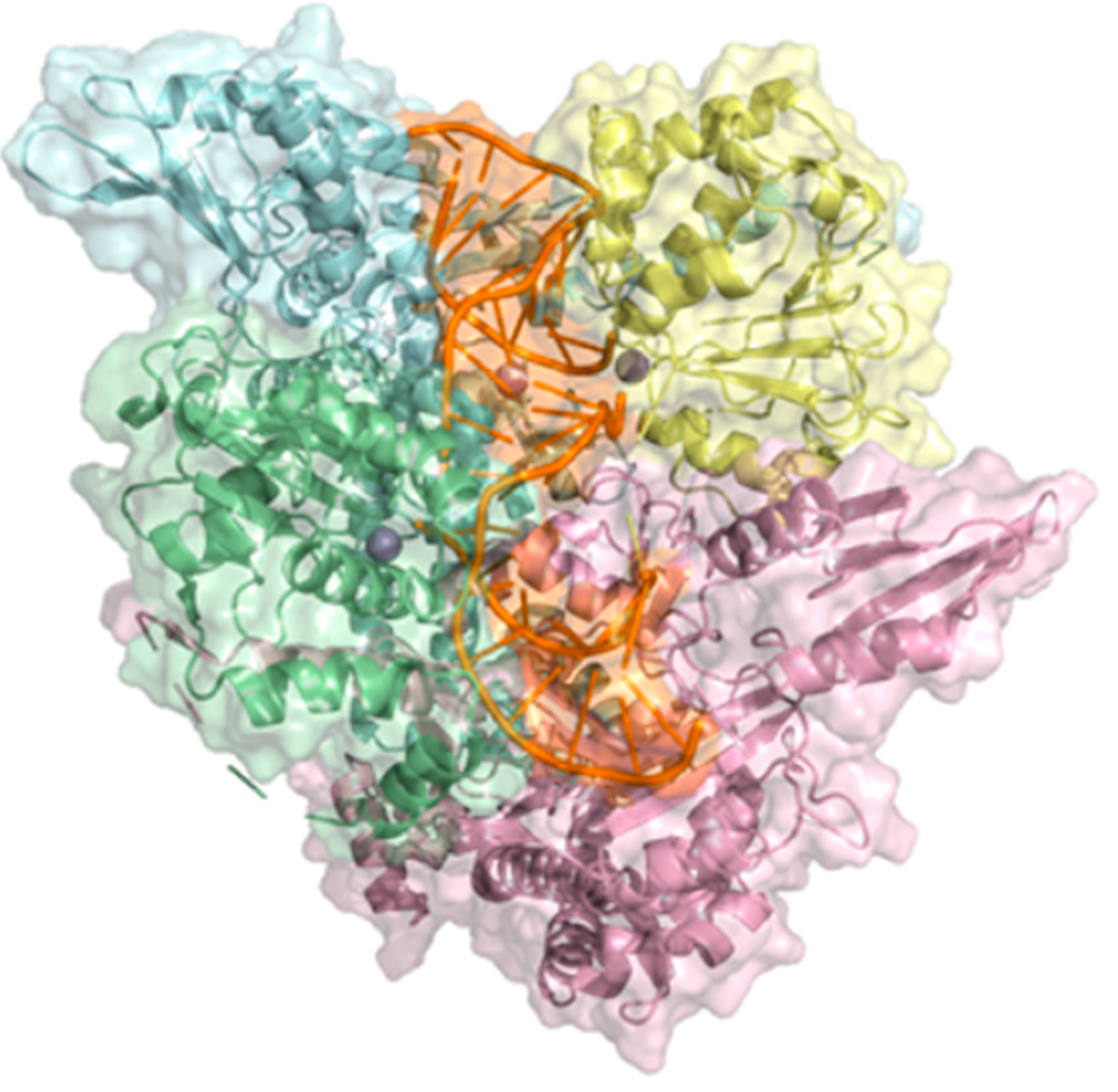 Molecules 28 06929 g011