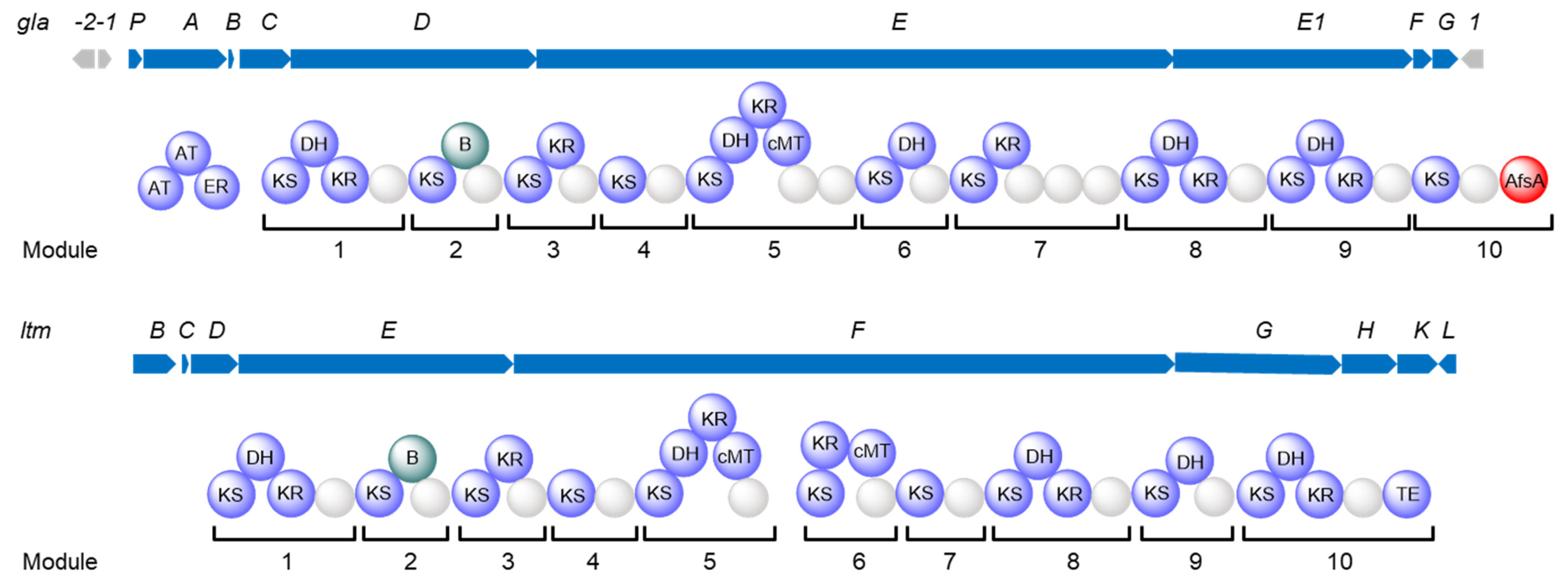 Molecules 28 06937 g001