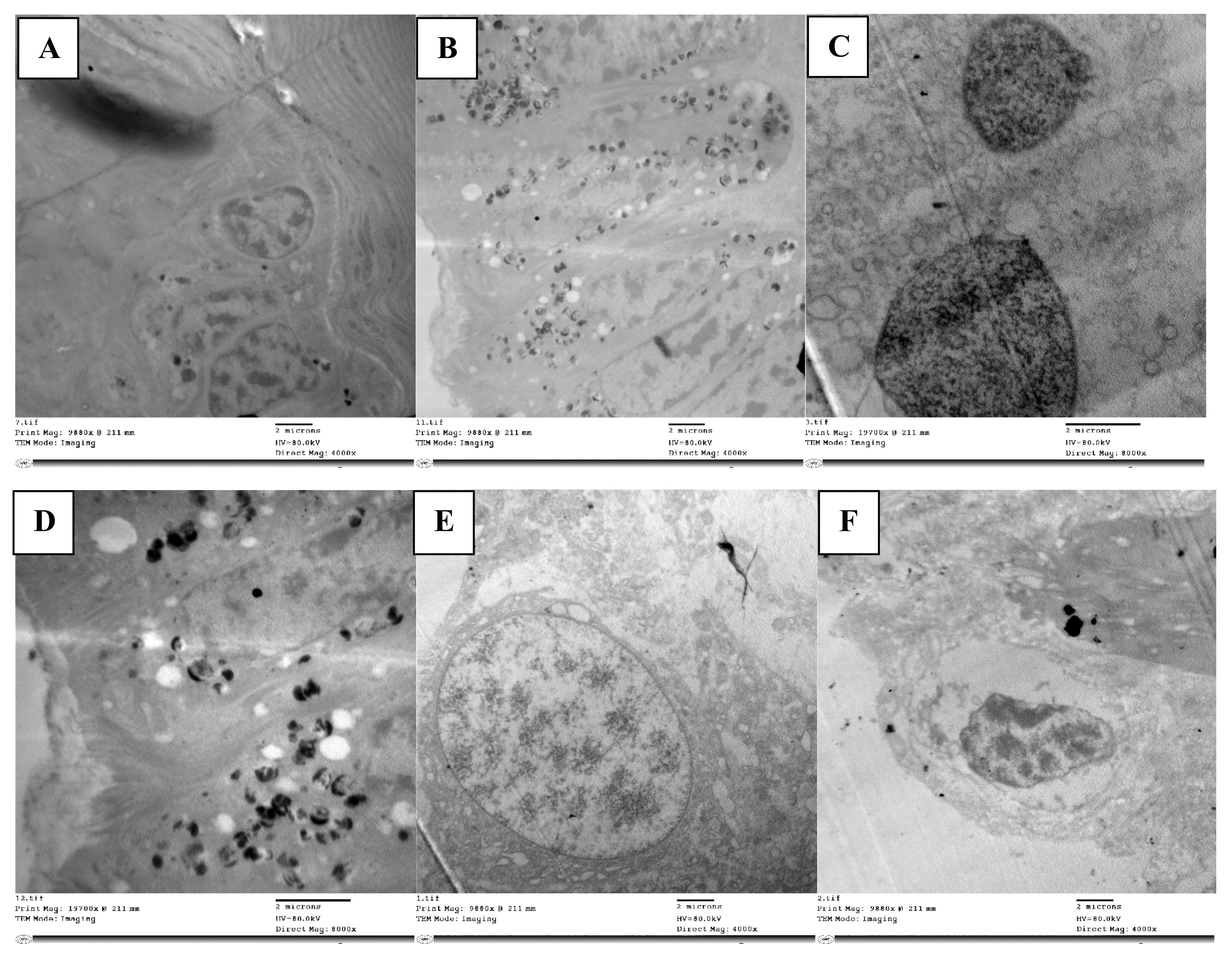 Molecules 28 06956 g003