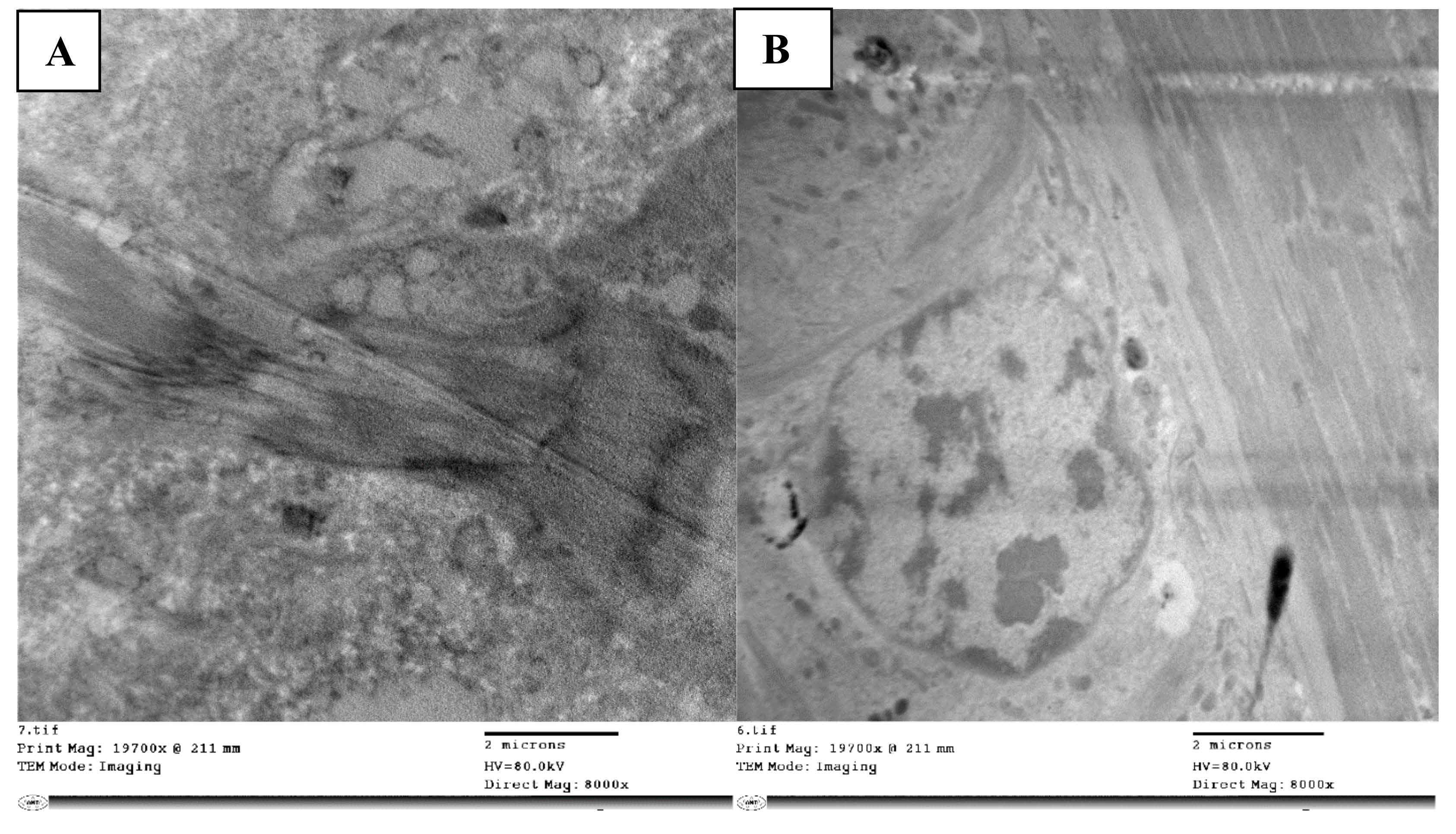 Molecules 28 06956 g005