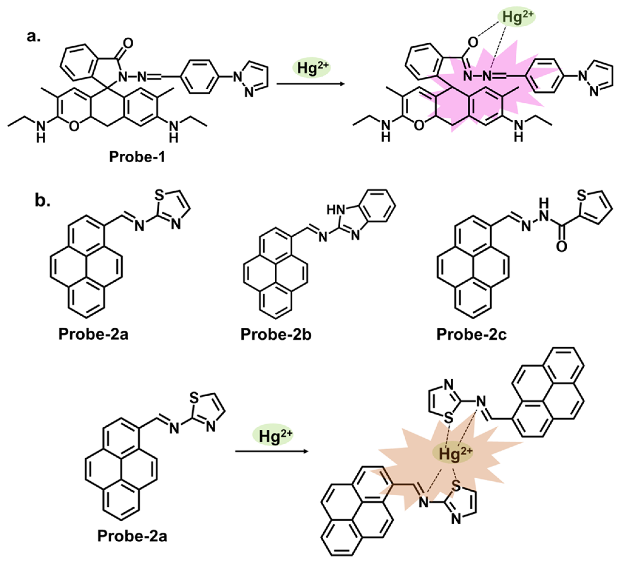 Molecules 28 06960 g001
