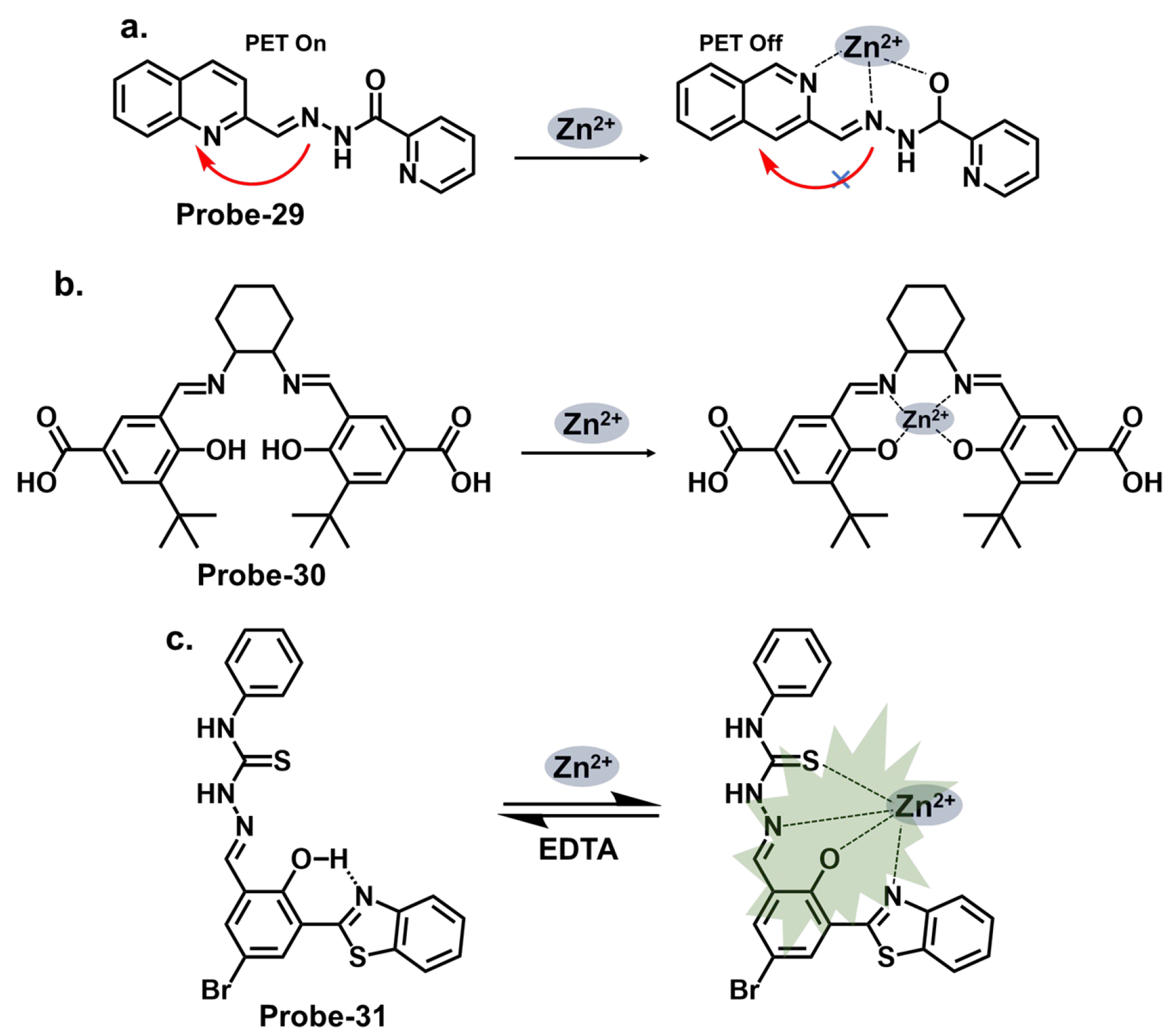 Molecules 28 06960 g011