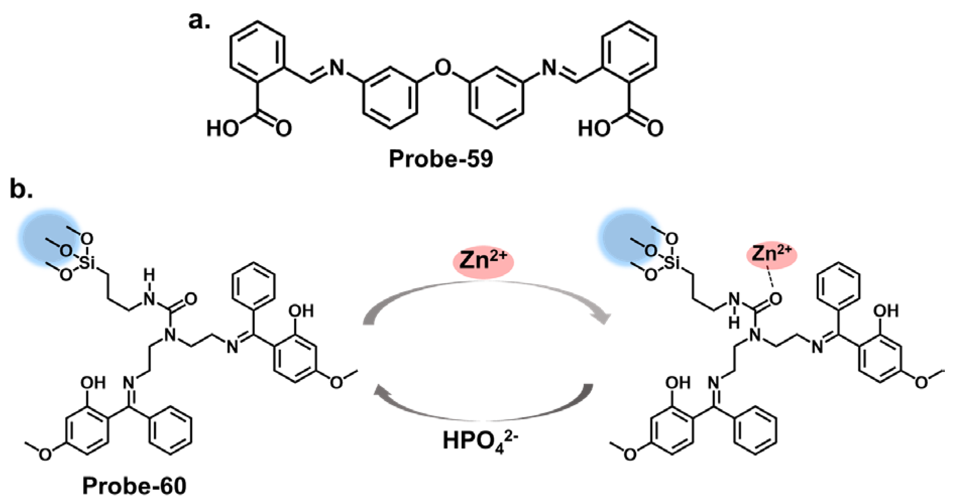 Molecules 28 06960 g022