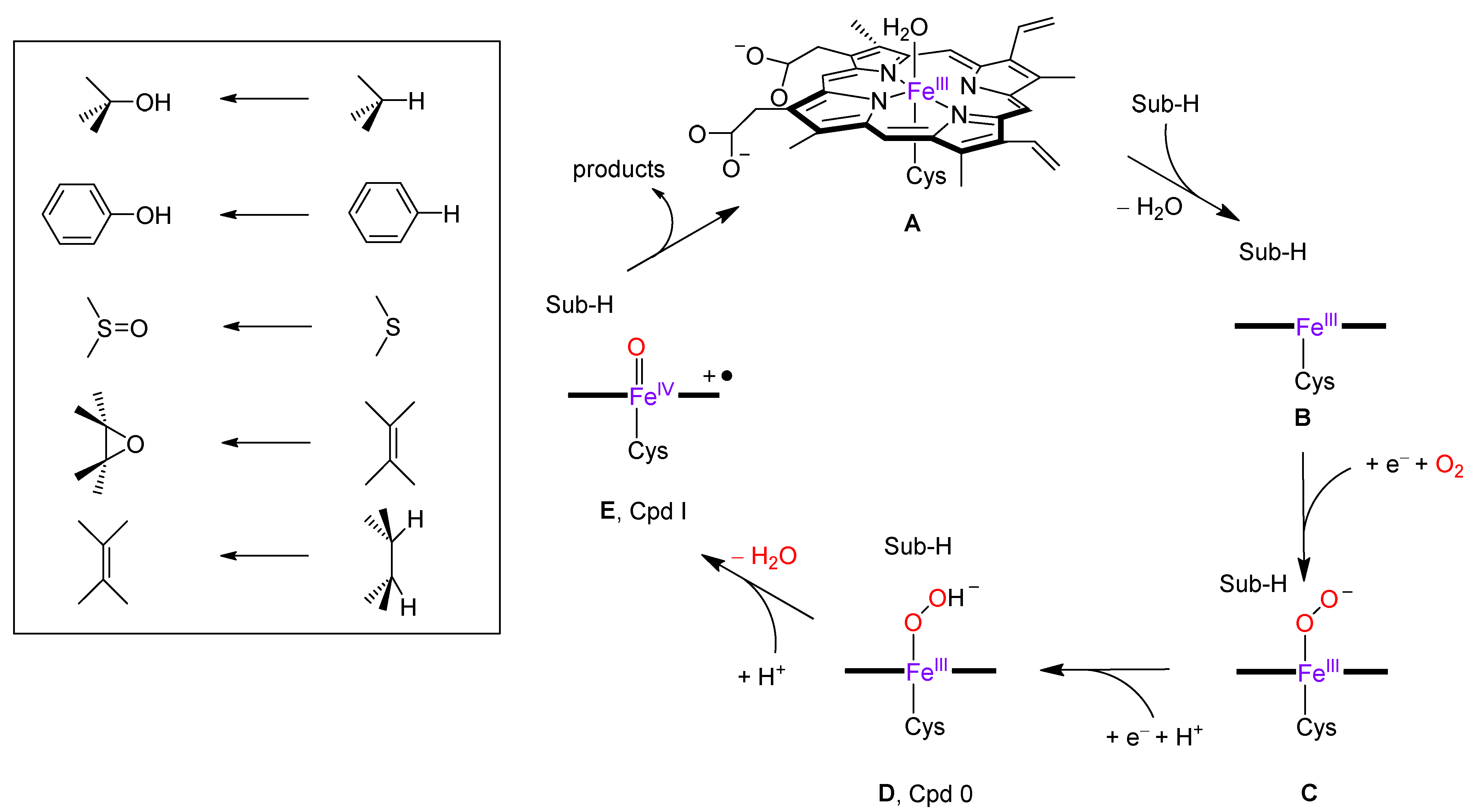 Molecules 28 06961 g002