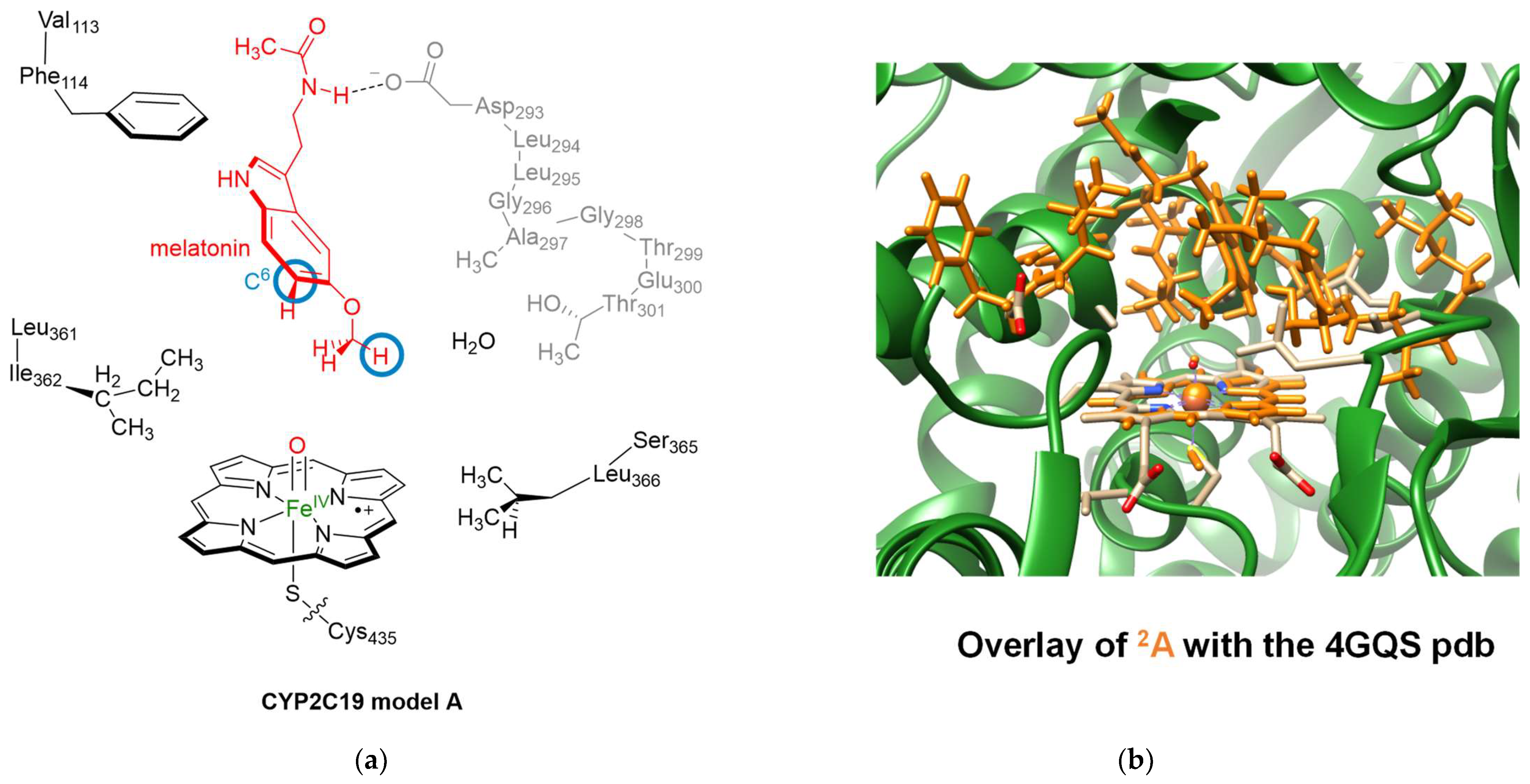 Molecules 28 06961 g006