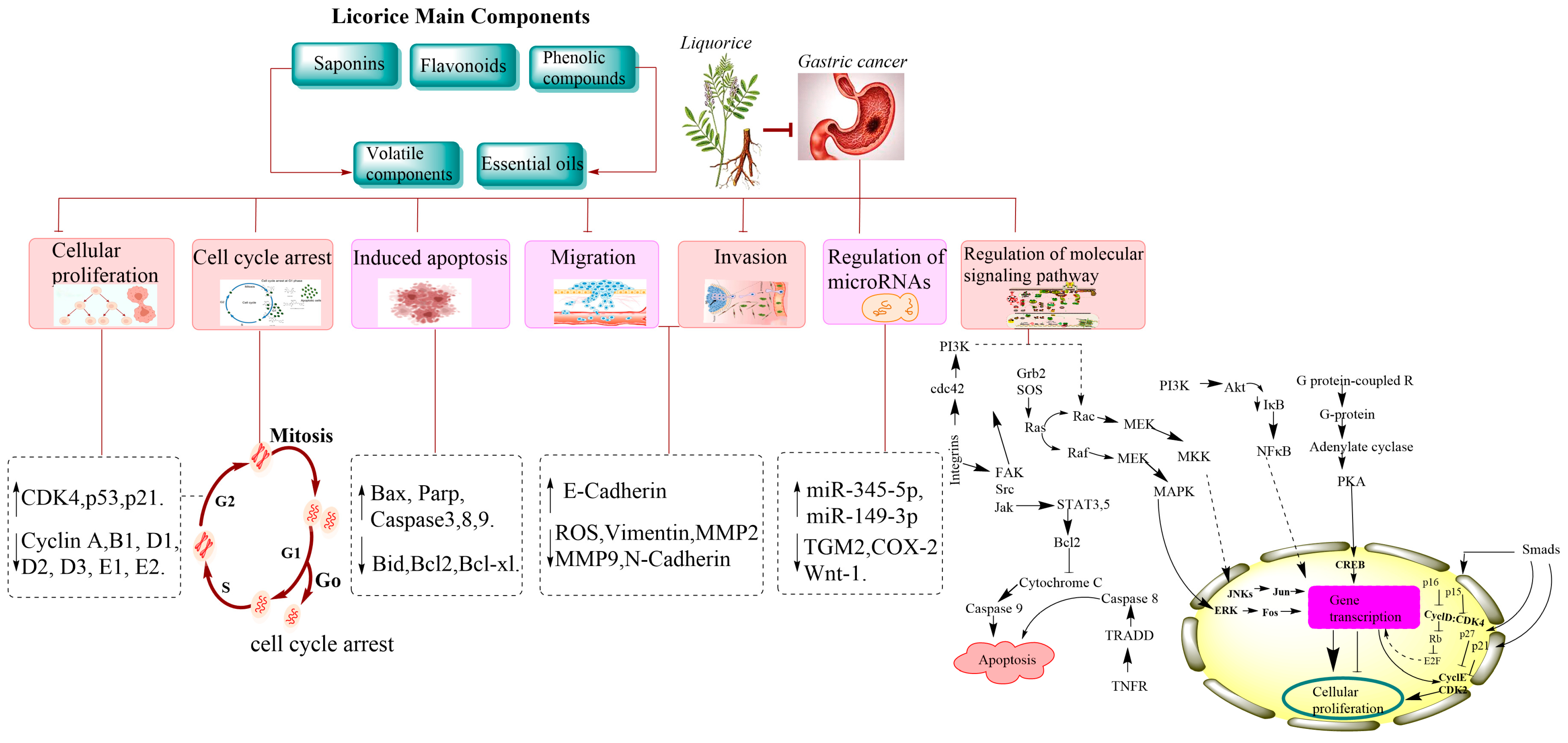 Molecules 28 06966 g002