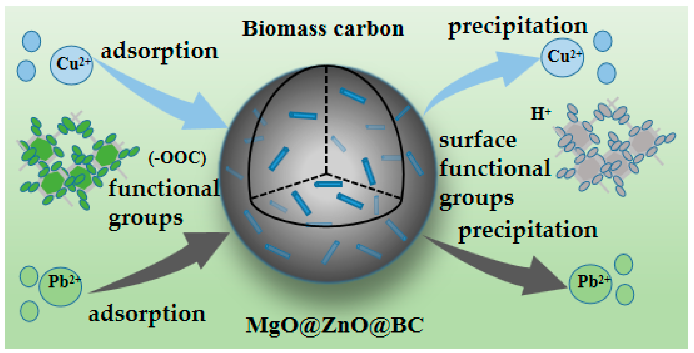 Molecules 28 06982 g008
