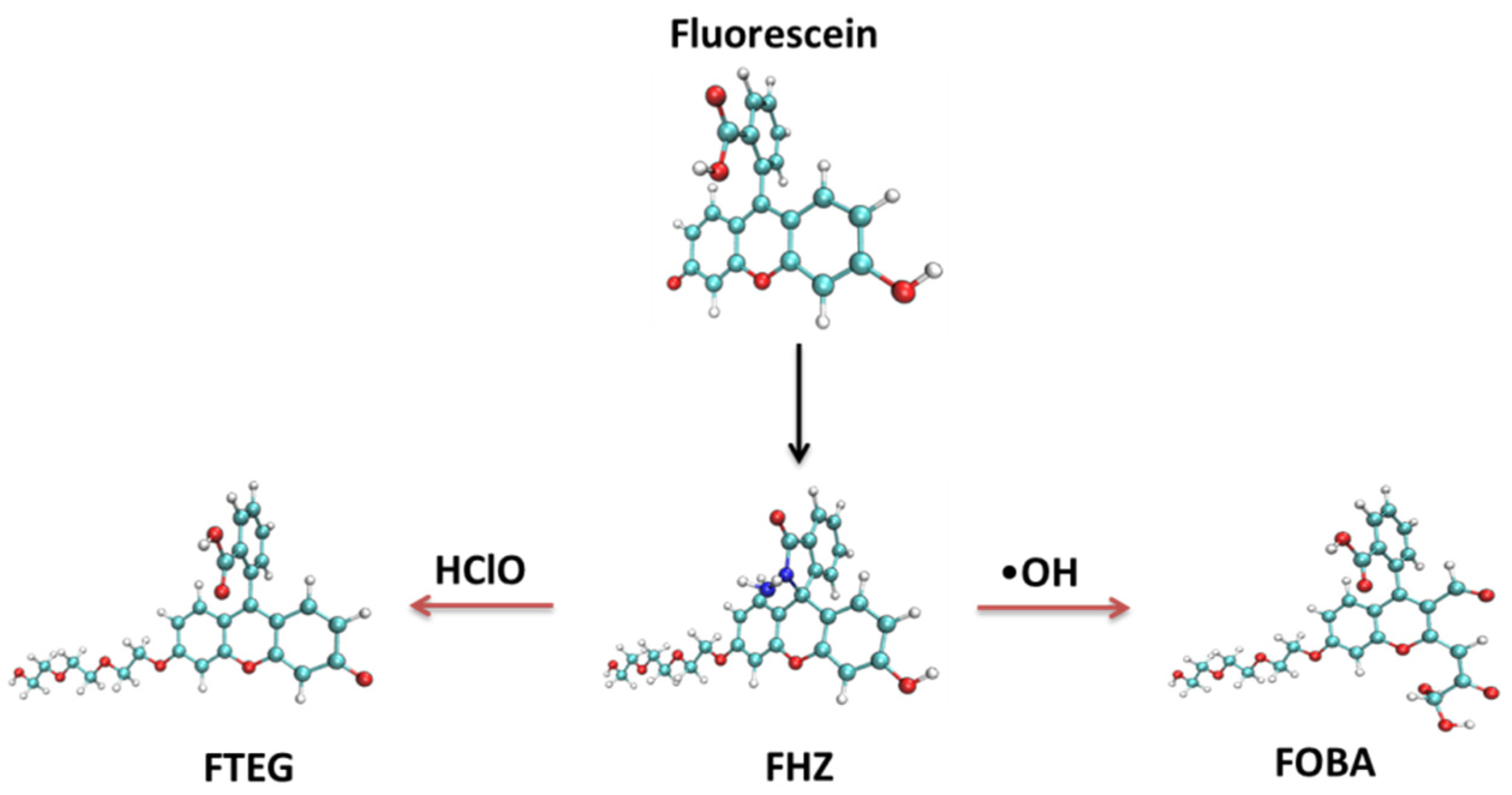 Molecules 28 06983 g001