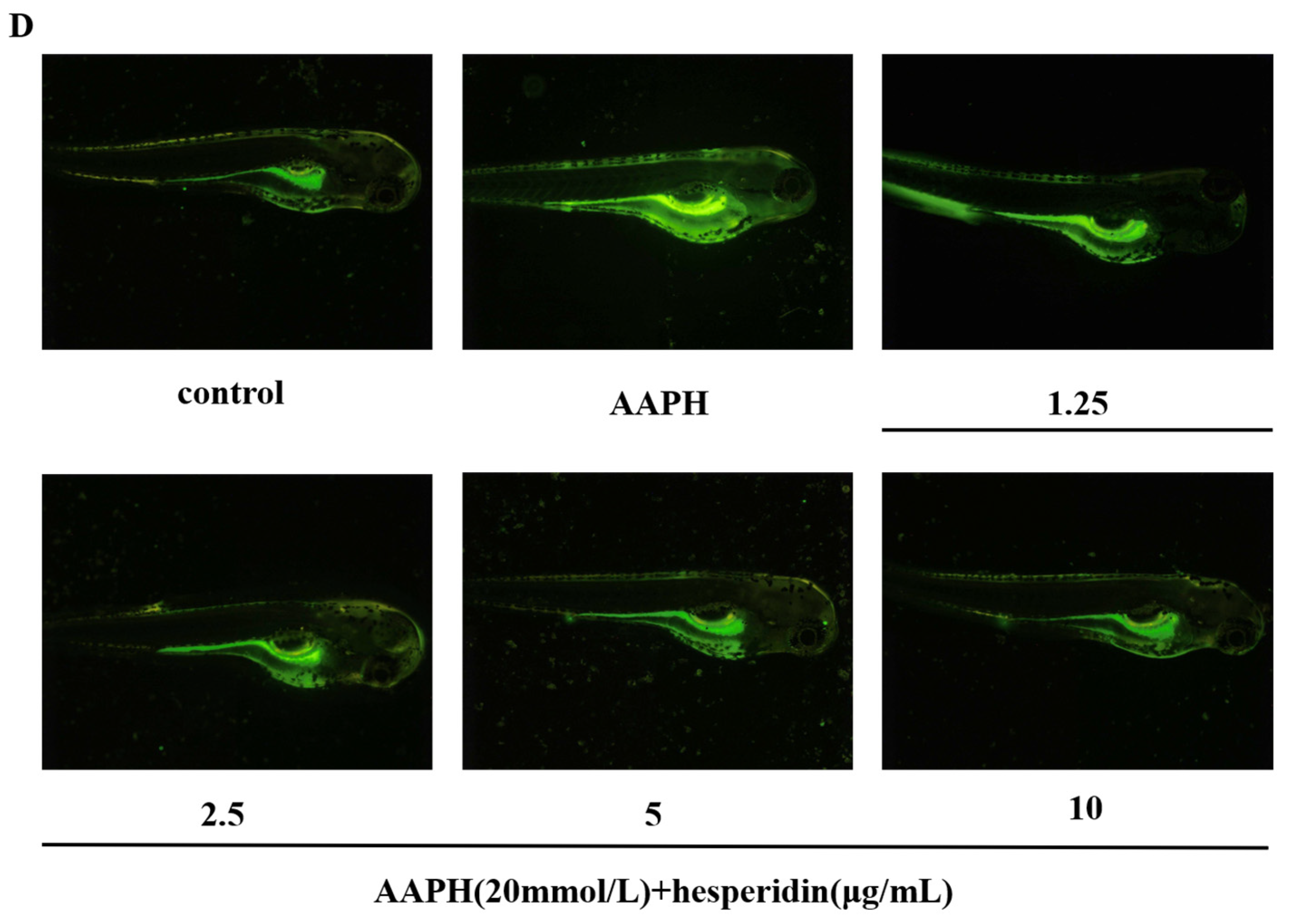 Molecules 28 06987 g008b