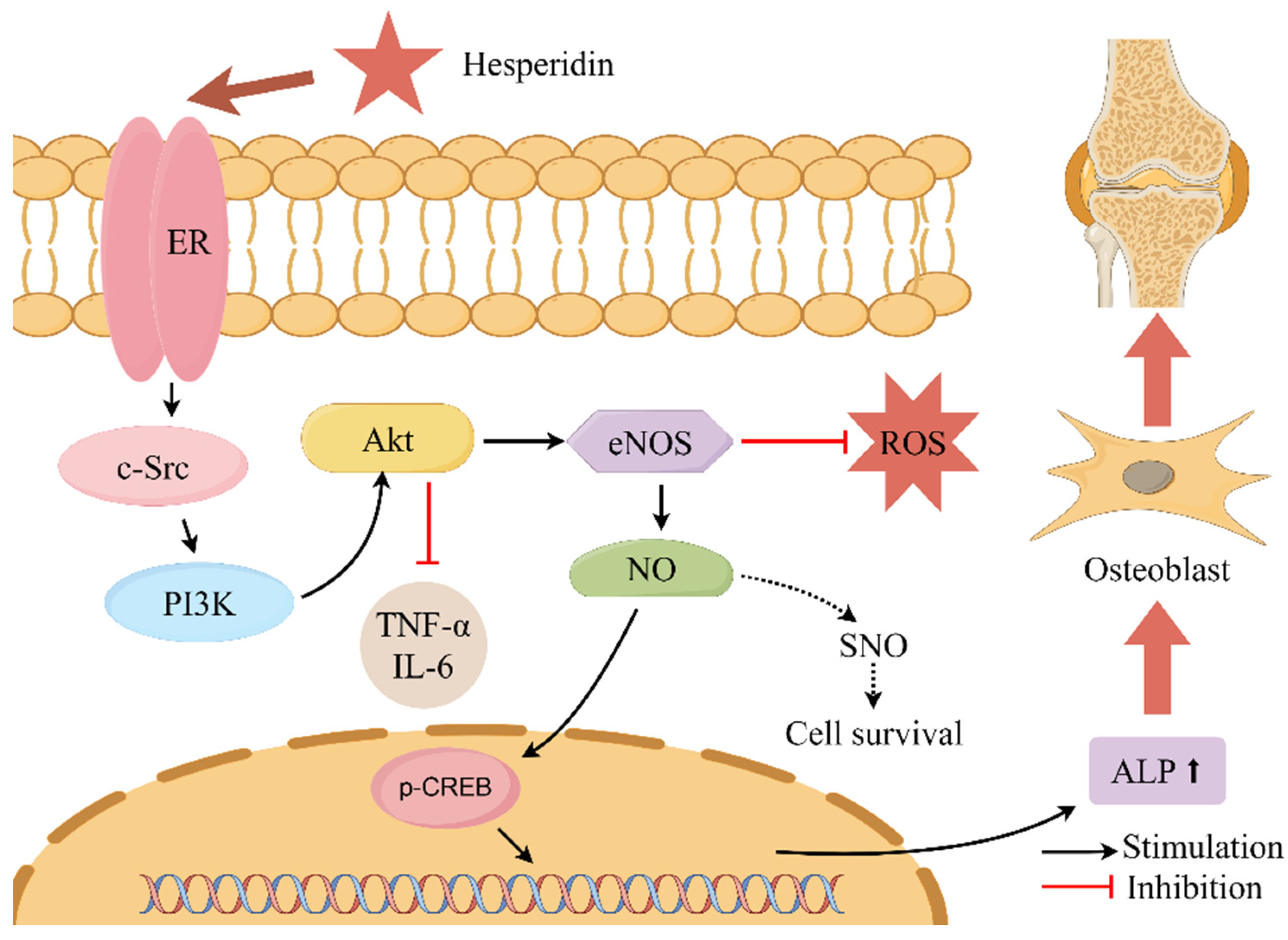 Molecules 28 06987 g010