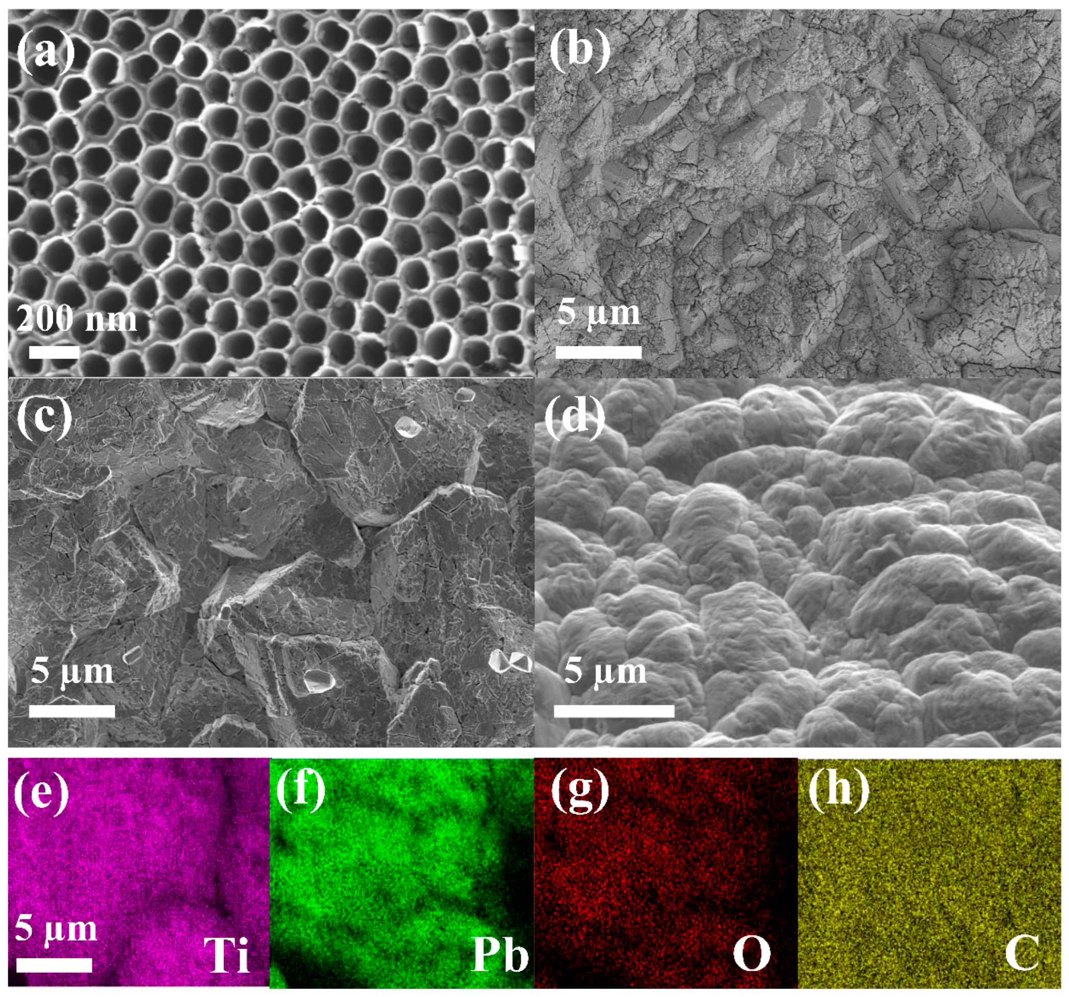 Molecules 28 06993 g001