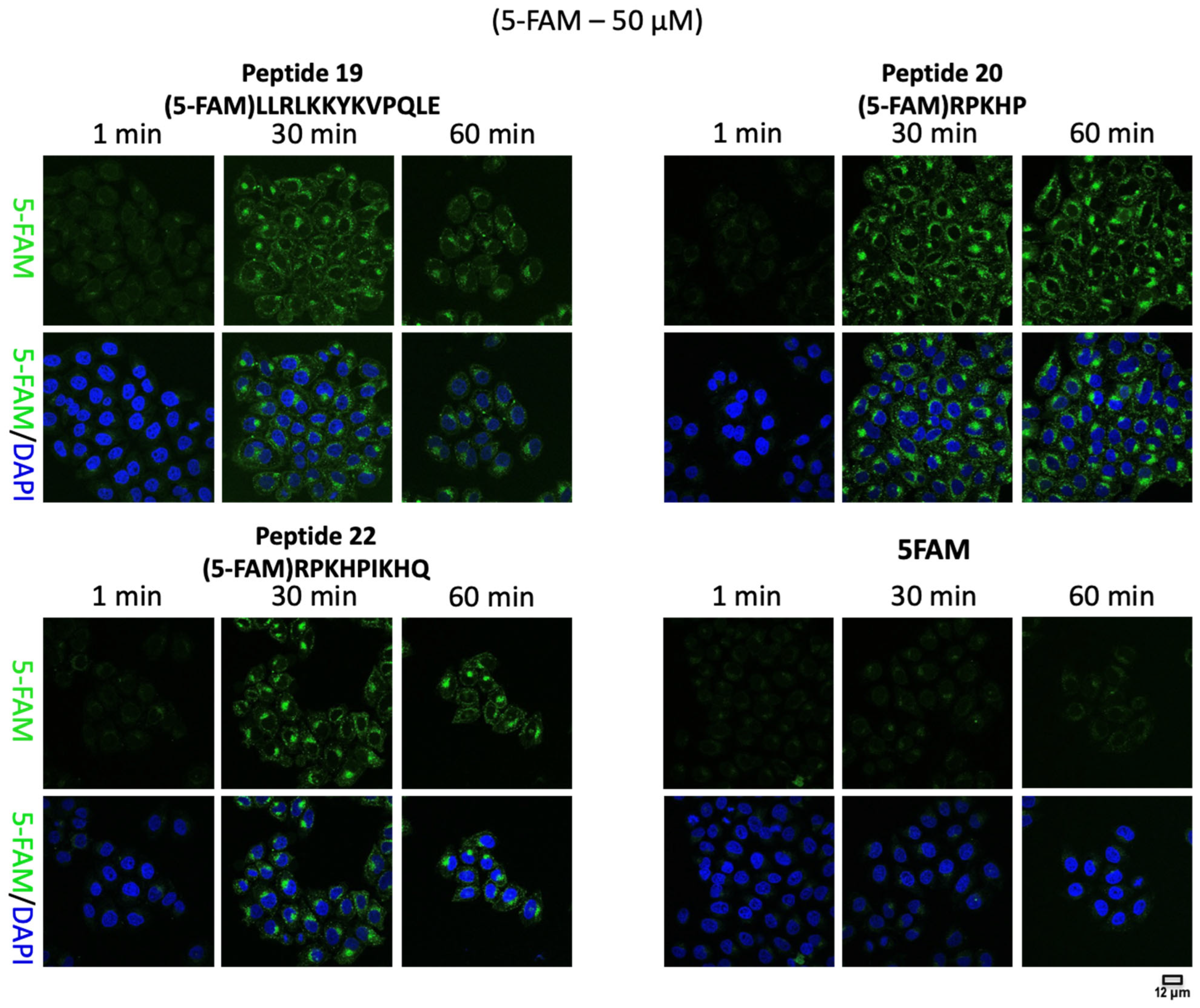 Molecules 28 06999 g002 Molecules 28 06999 g002