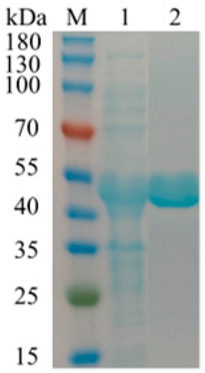 Molecules 28 07001 g002