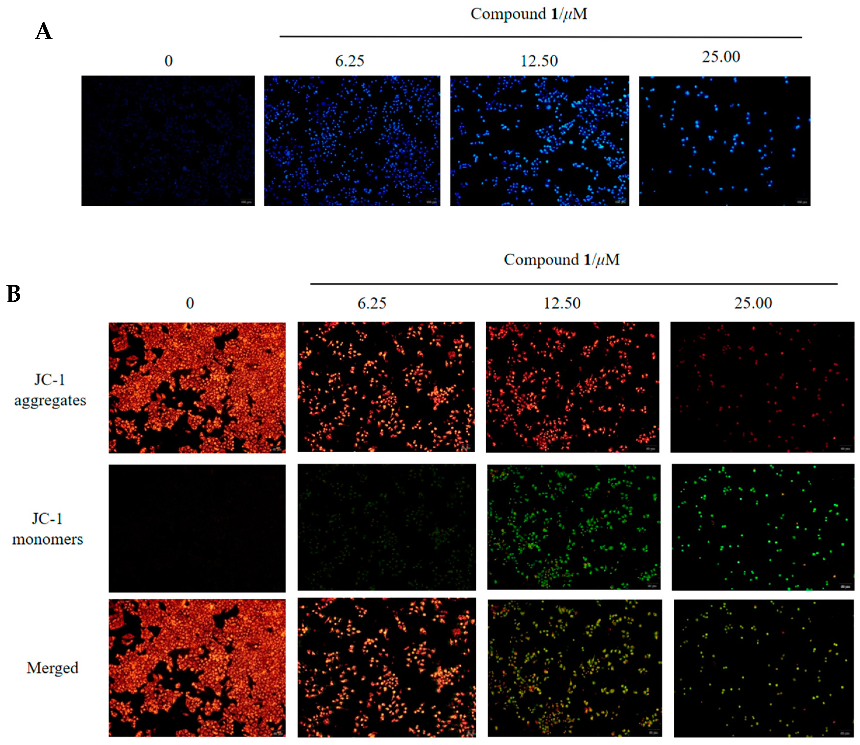 Molecules 28 07003 g005a