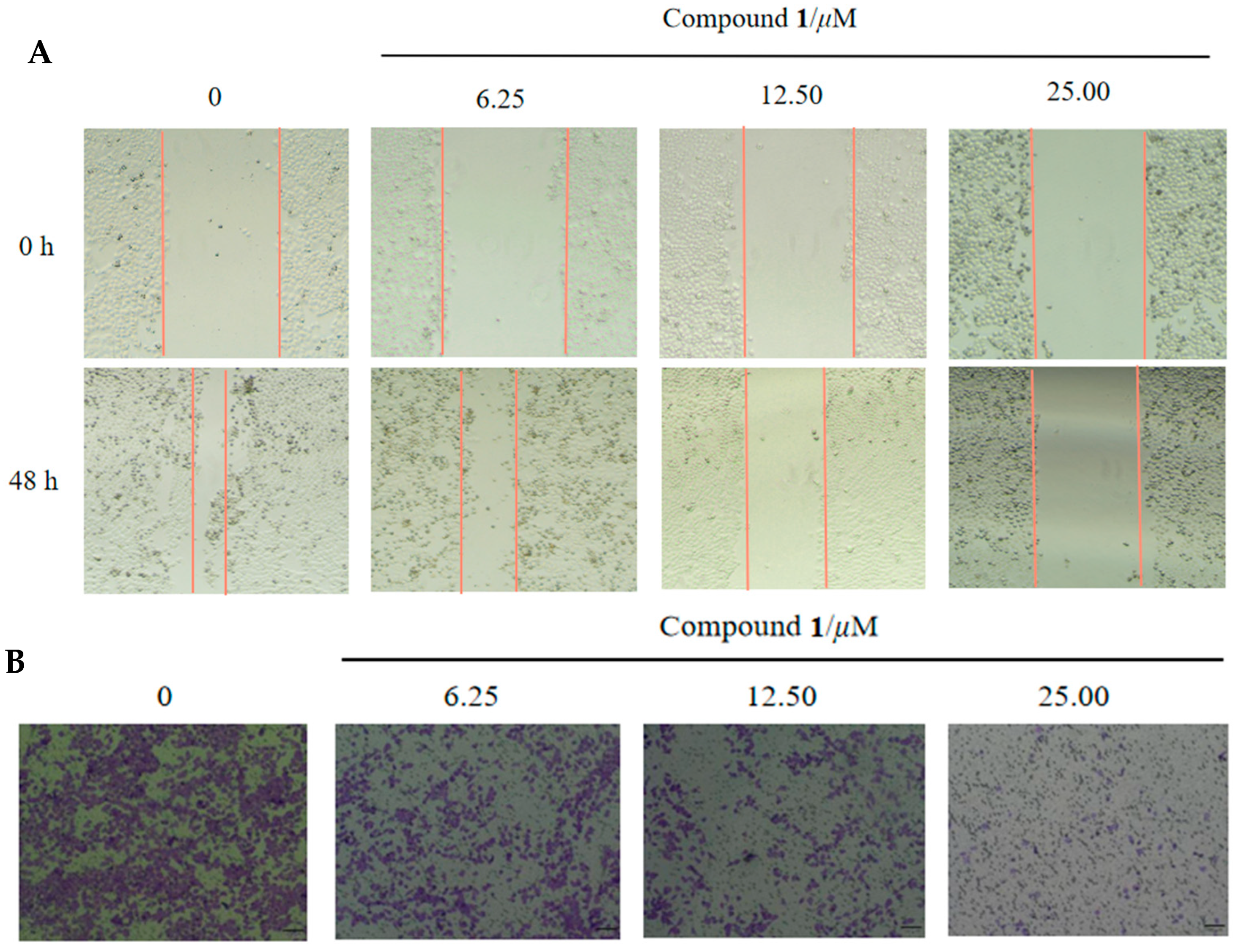 Molecules 28 07003 g006