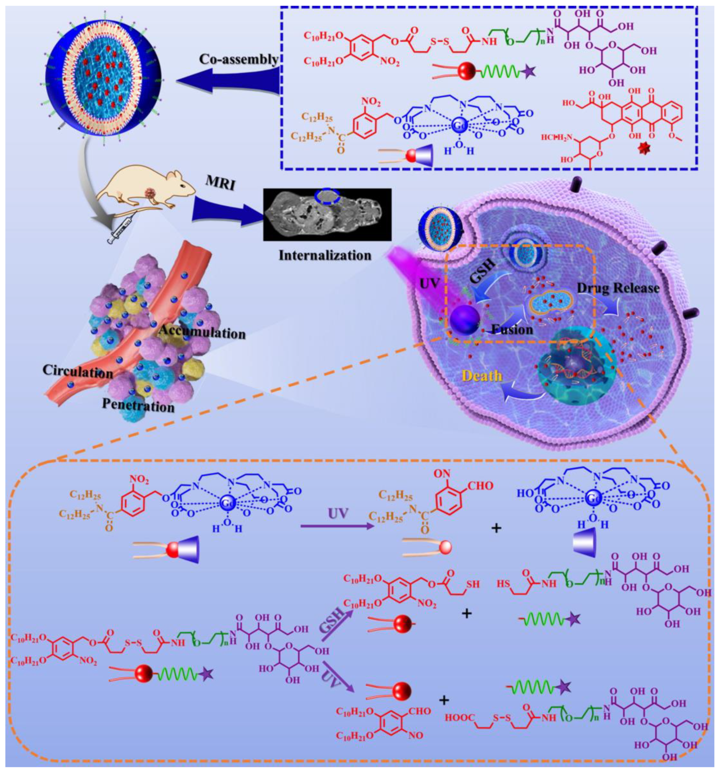 Molecules 28 07004 g001