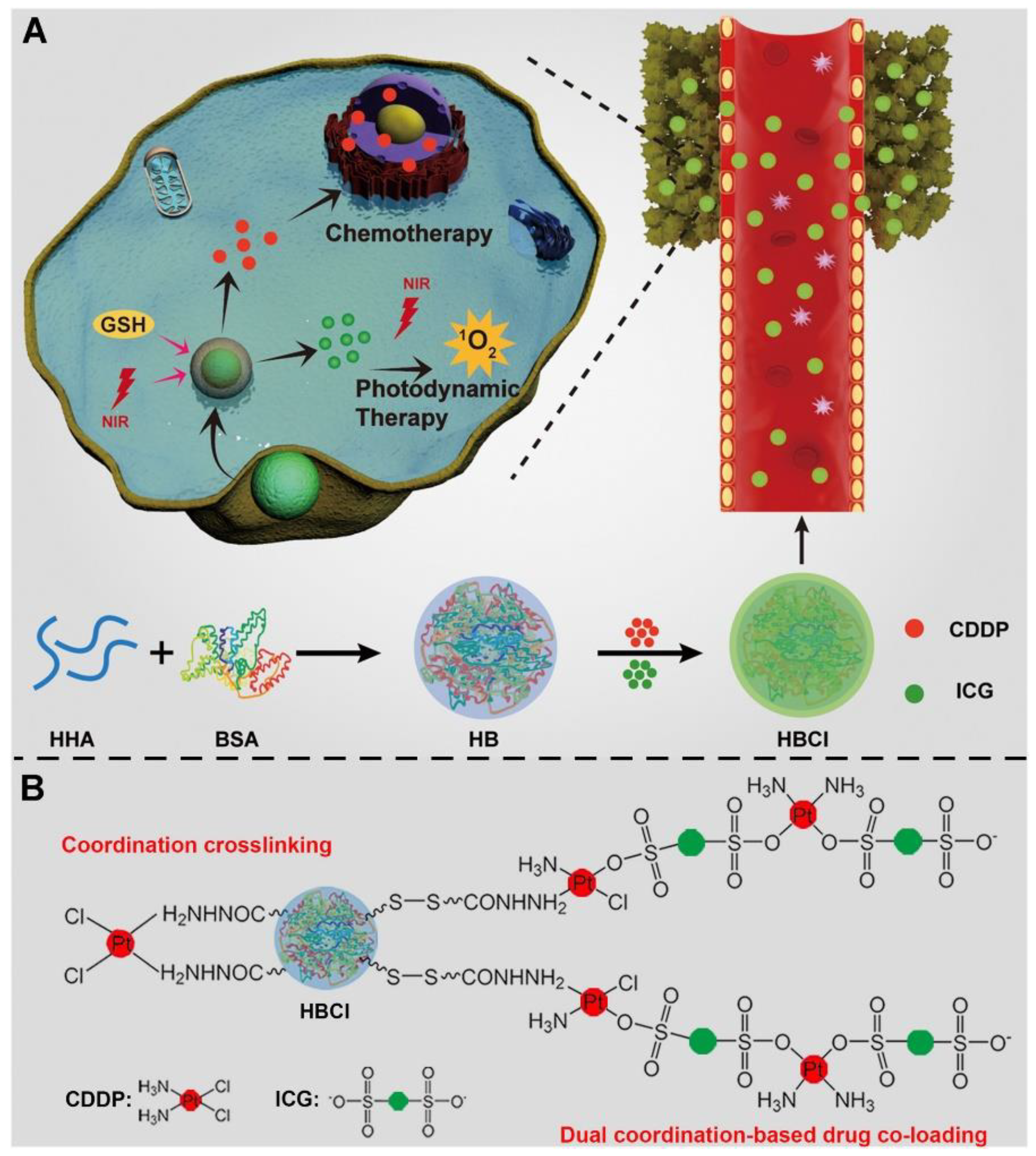 Molecules 28 07004 g003