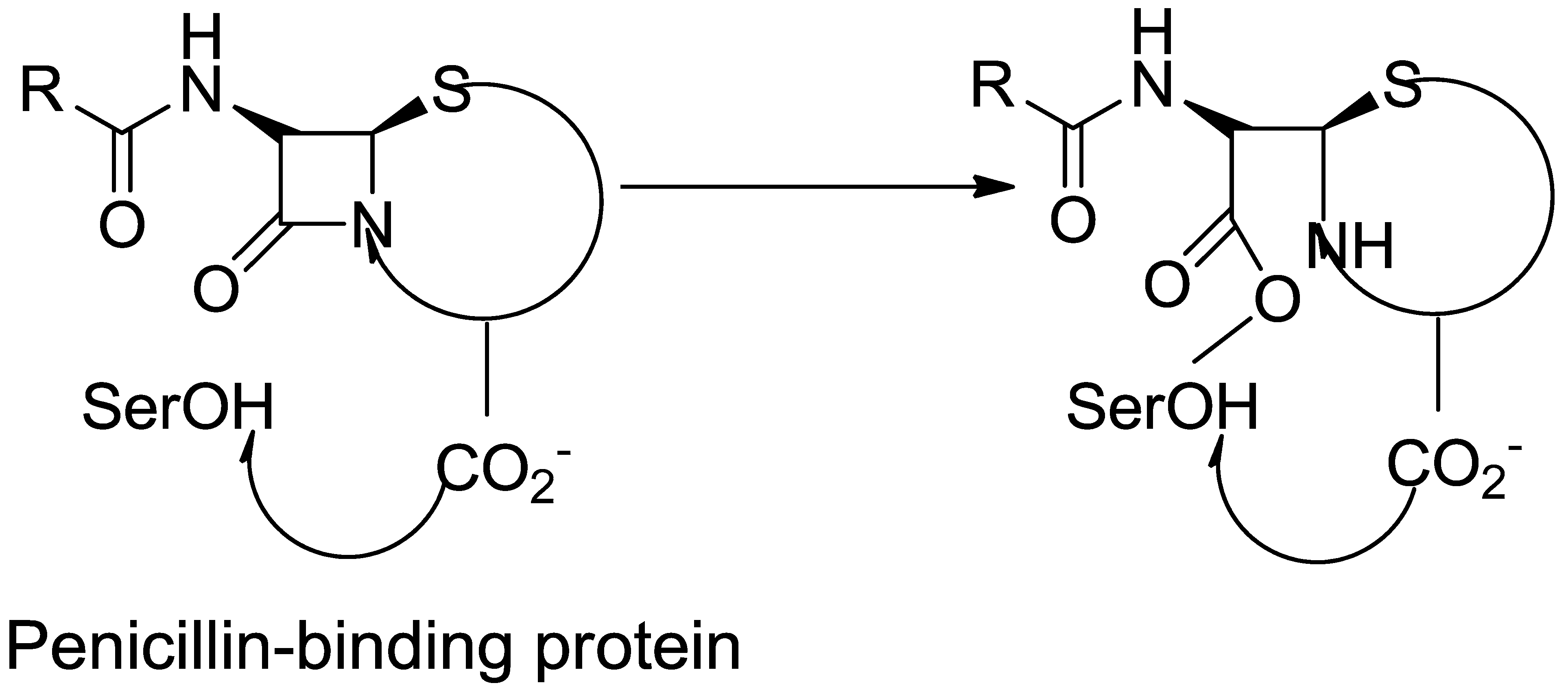 Molecules 28 07008 g001 Molecules 28 07008 g001