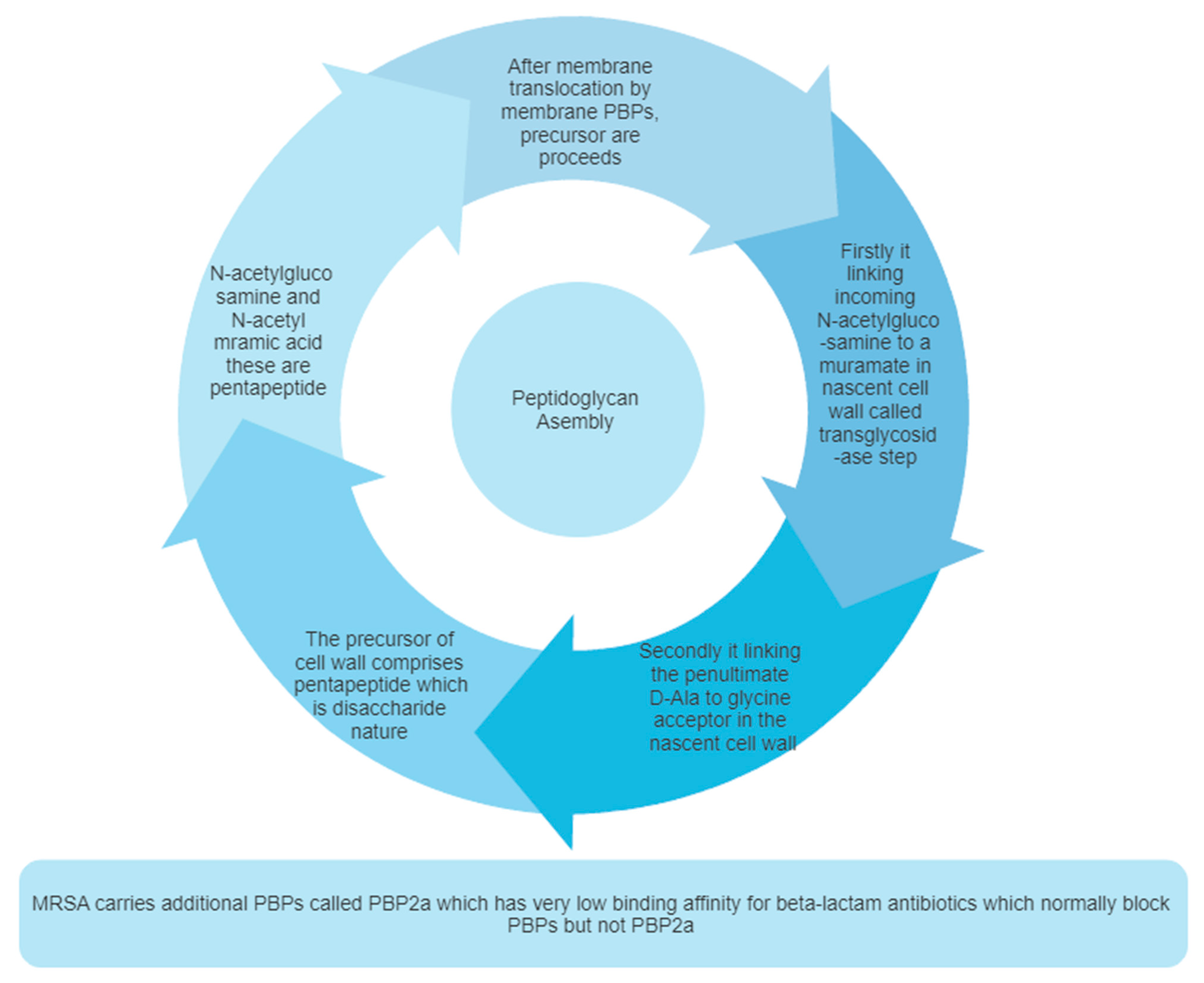 Molecules 28 07008 g002 Molecules 28 07008 g002