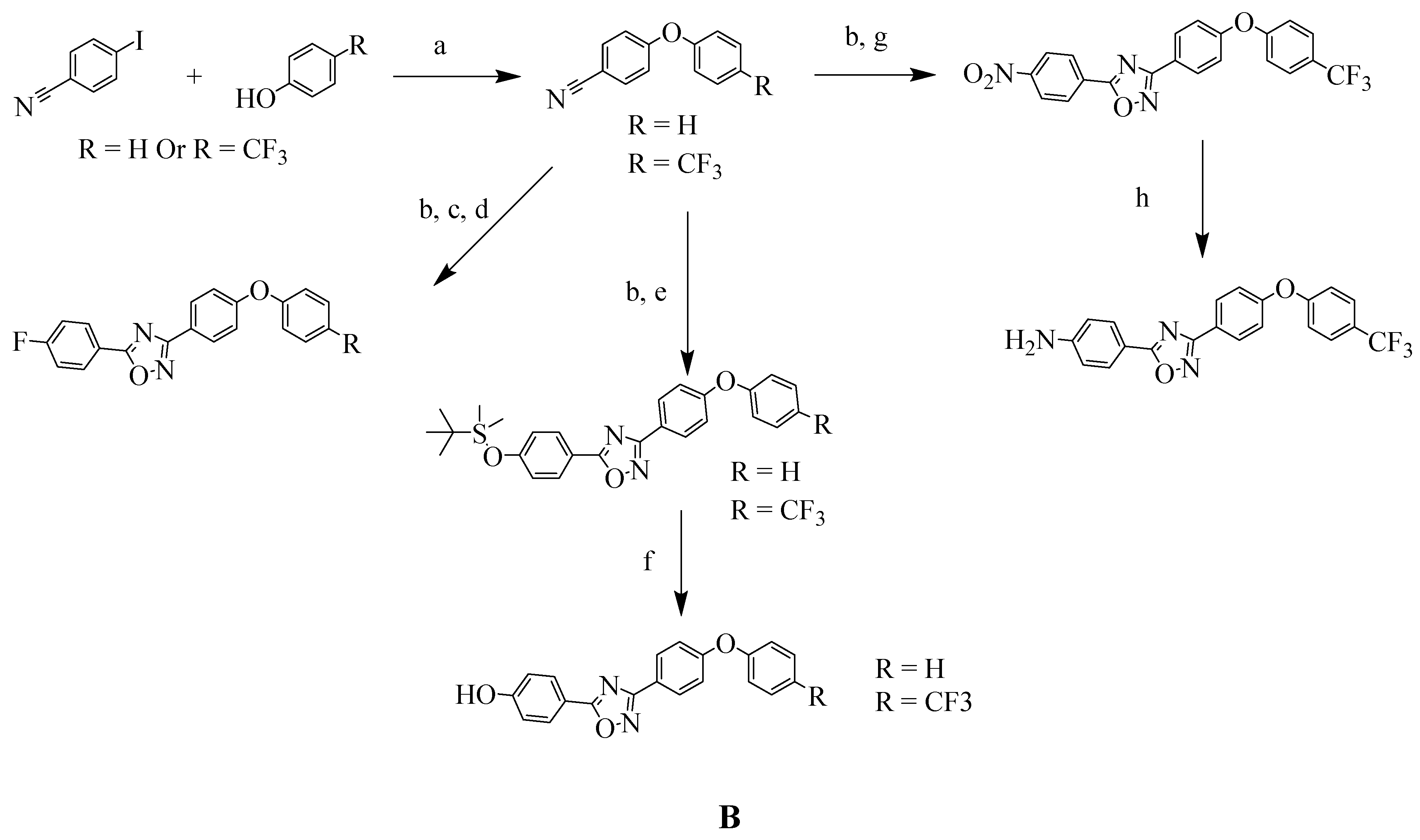 Molecules 28 07008 g011b Molecules 28 07008 g011b