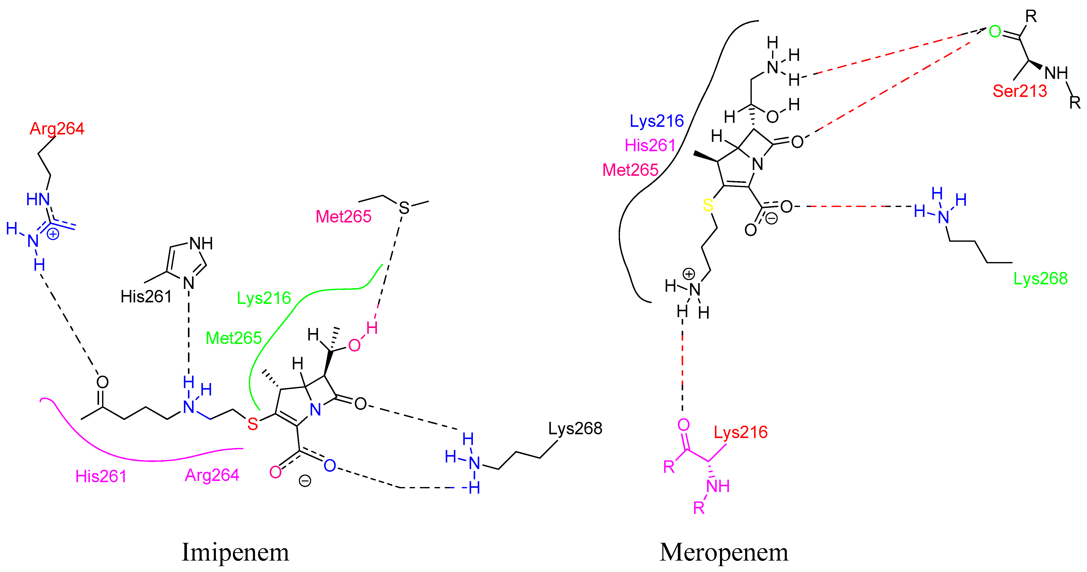 Molecules 28 07008 g021 Molecules 28 07008 g021
