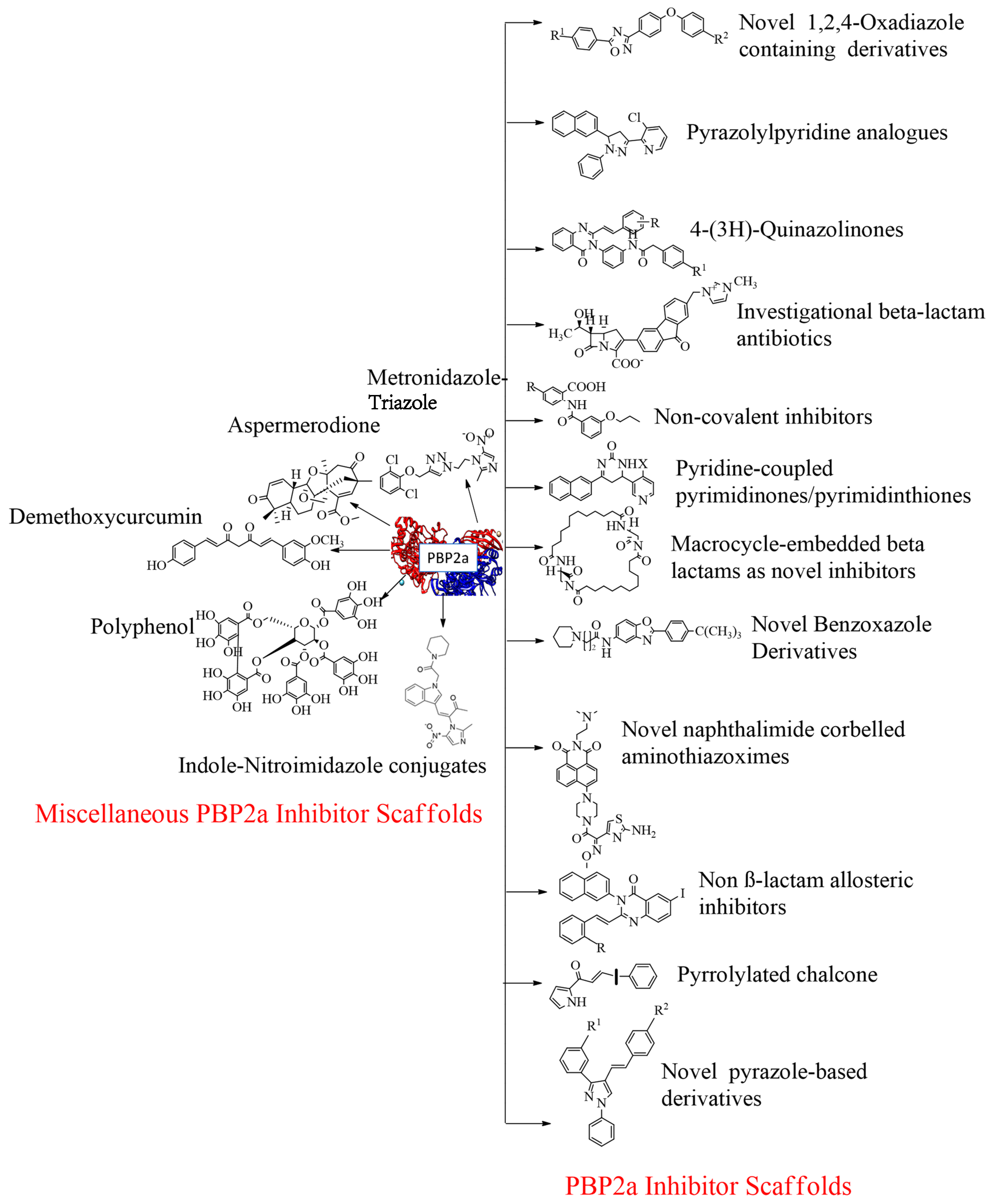 Molecules 28 07008 g025 Molecules 28 07008 g025