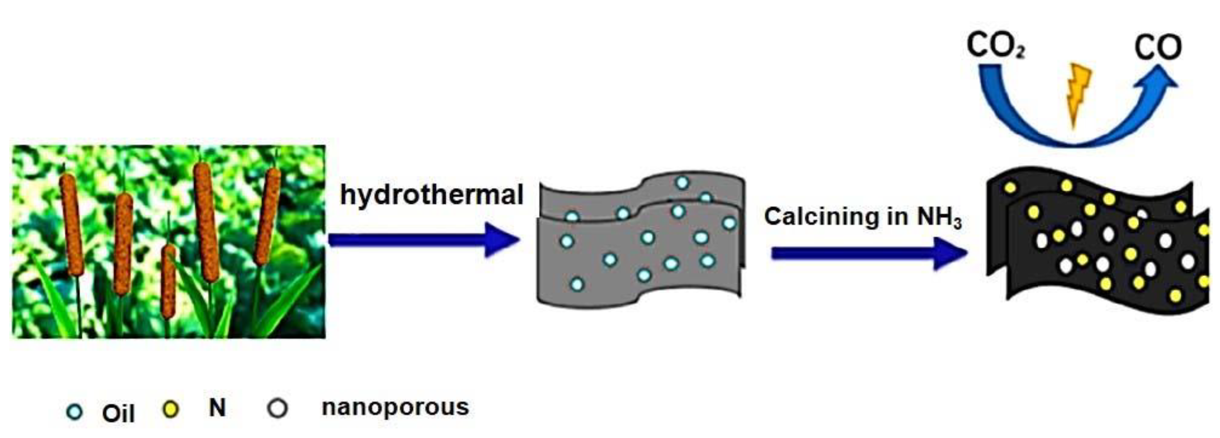 Molecules 28 07016 g001
