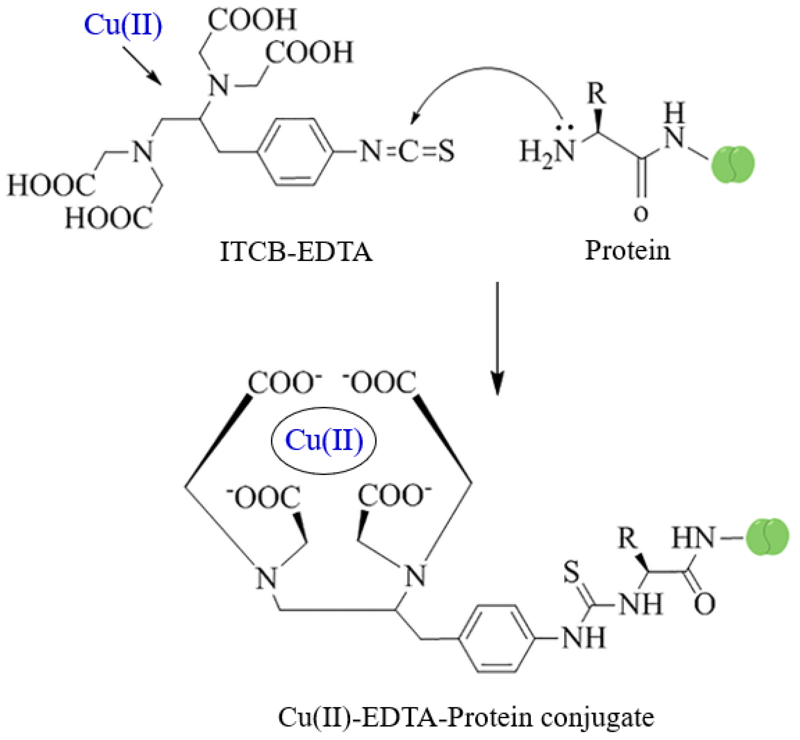 Molecules 28 07017 g001