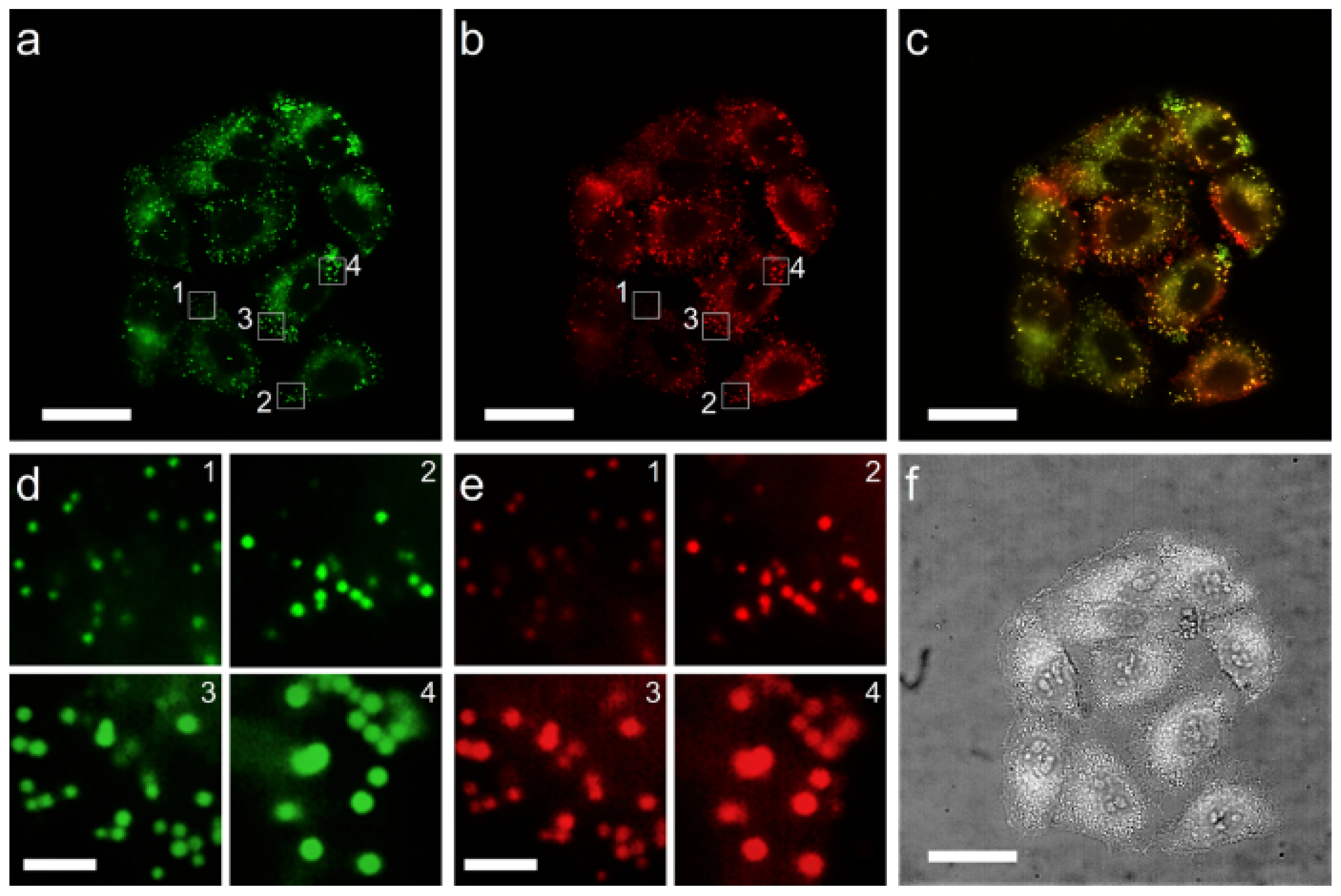 Molecules 28 07029 g004