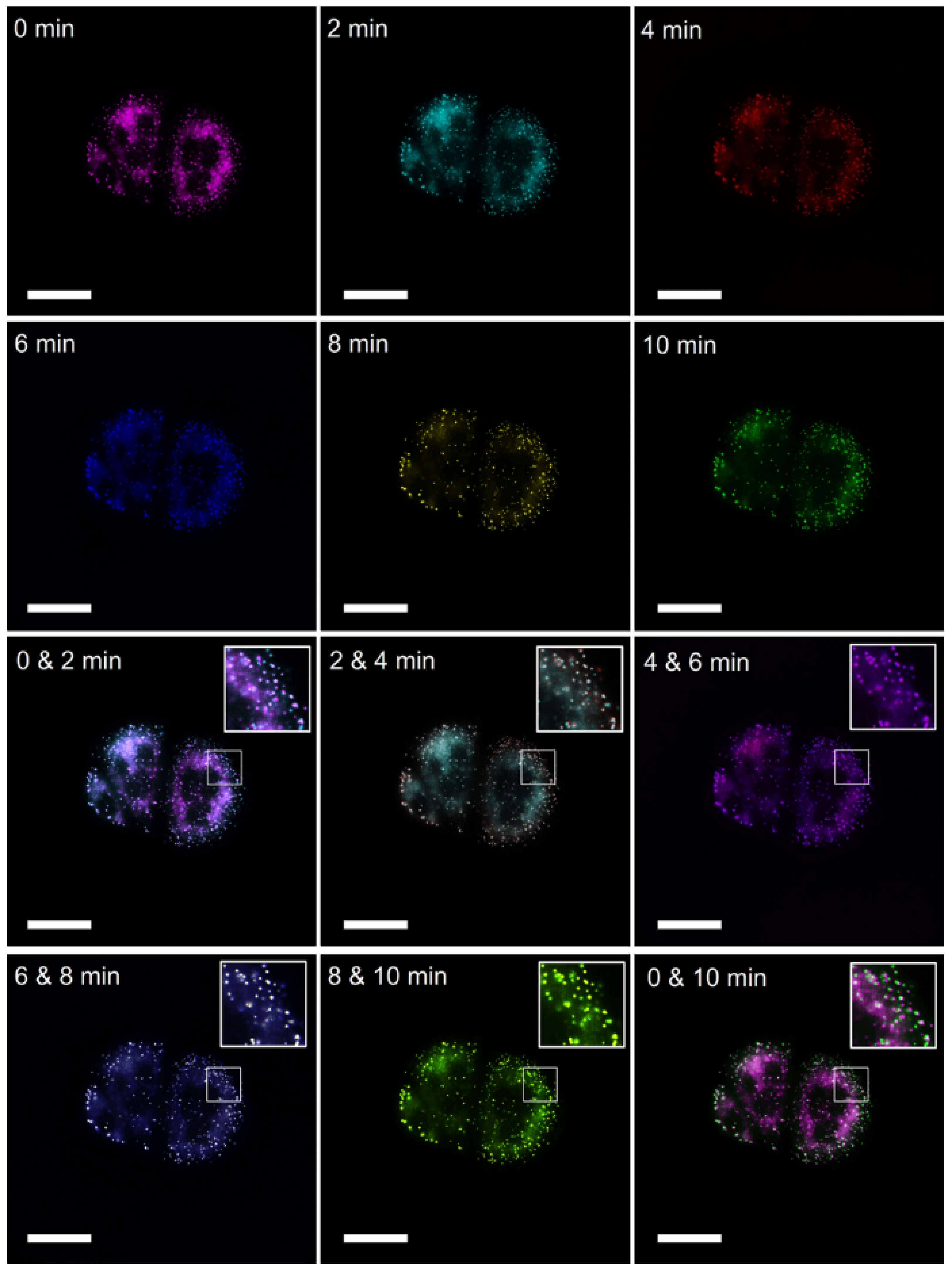 Molecules 28 07029 g006