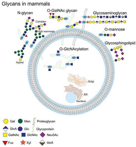 Molecules 28 07033 g003