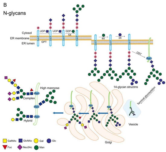Molecules 28 07033 g004b