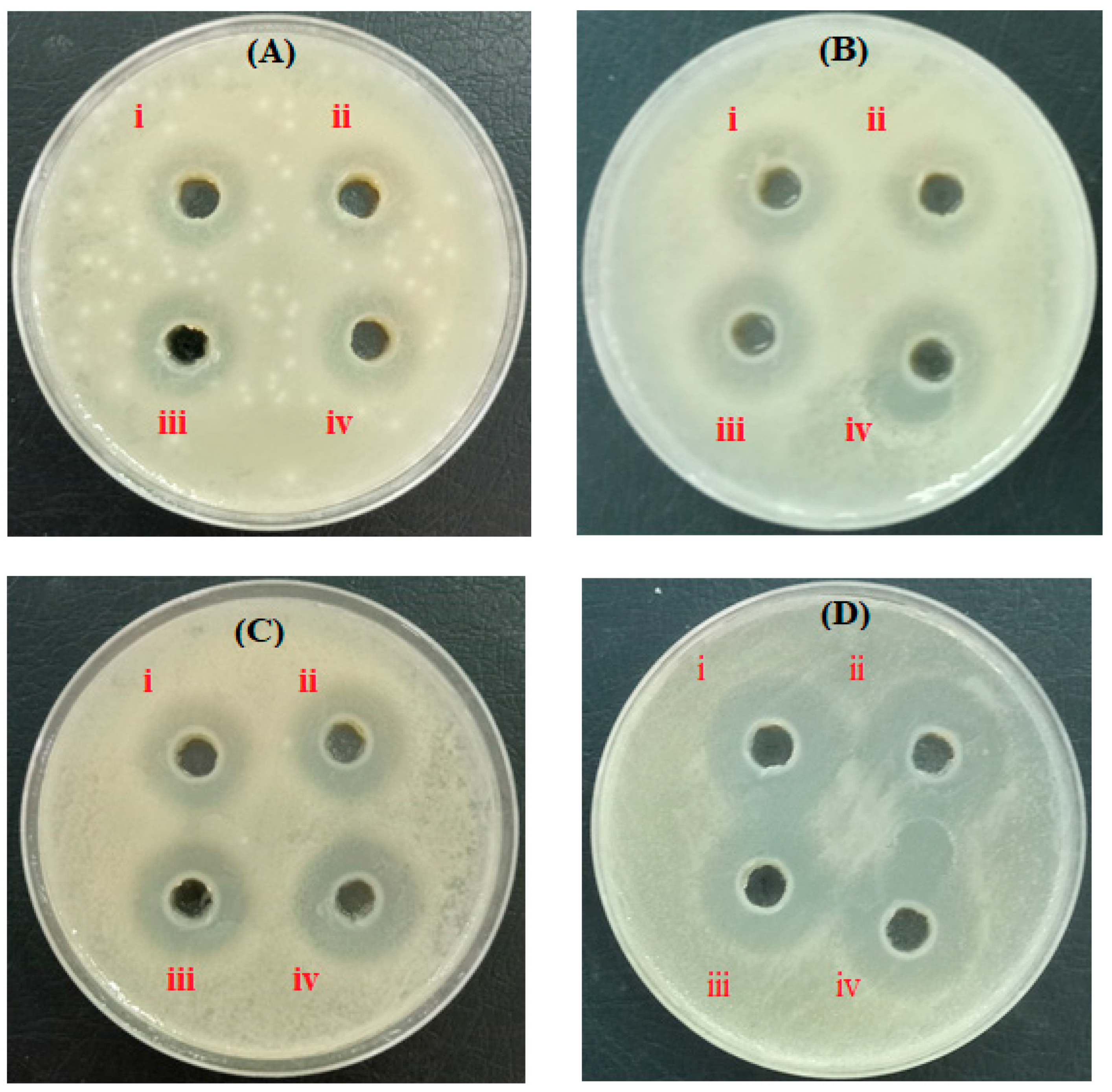 Molecules 28 07034 g005