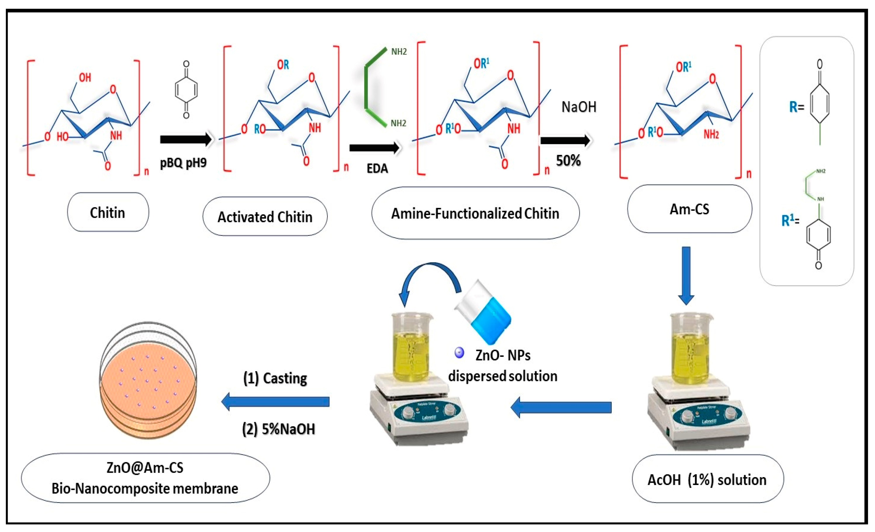 Molecules 28 07034 g010