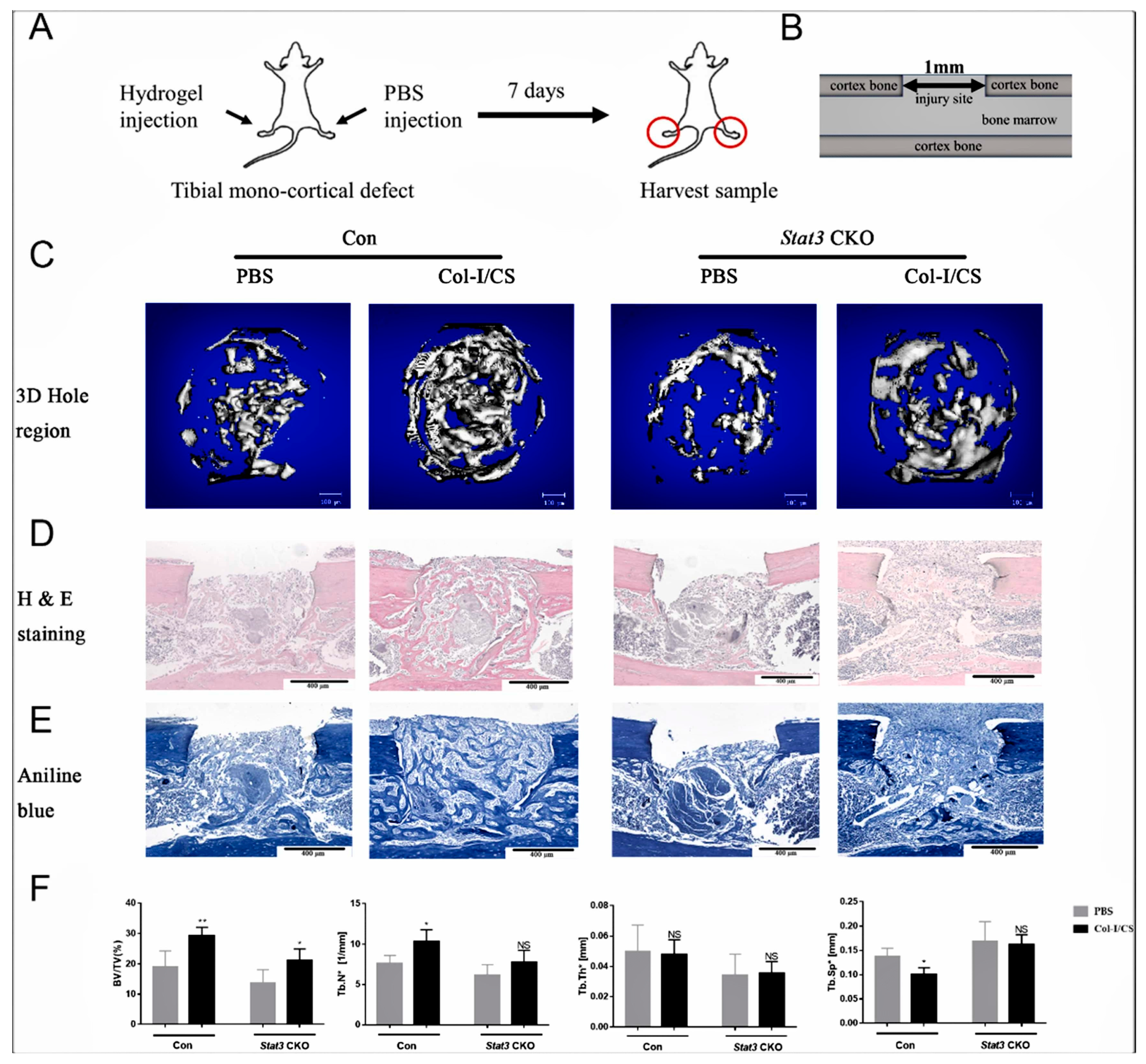 Molecules 28 07039 g005