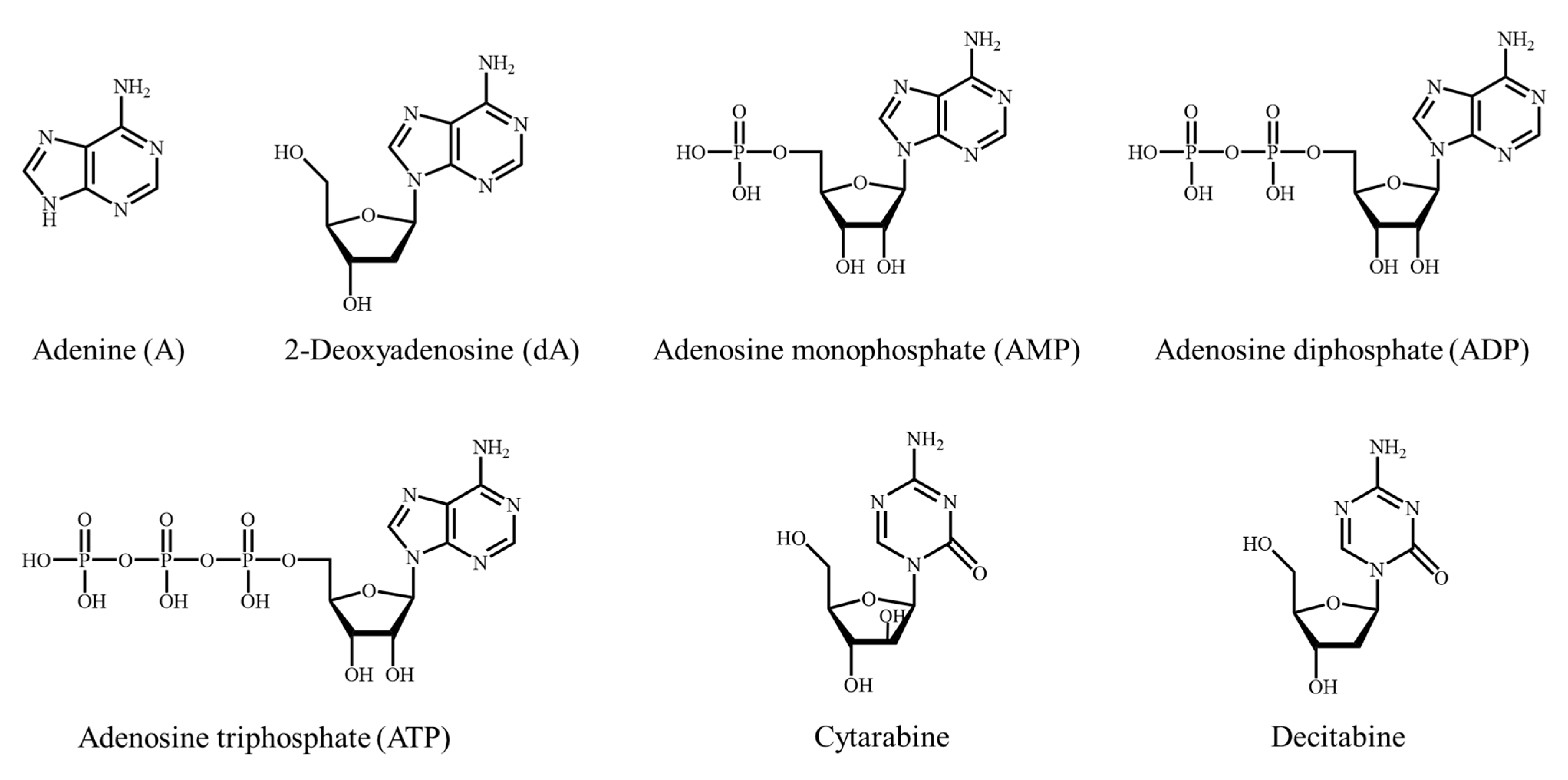 Molecules 28 07043 g001