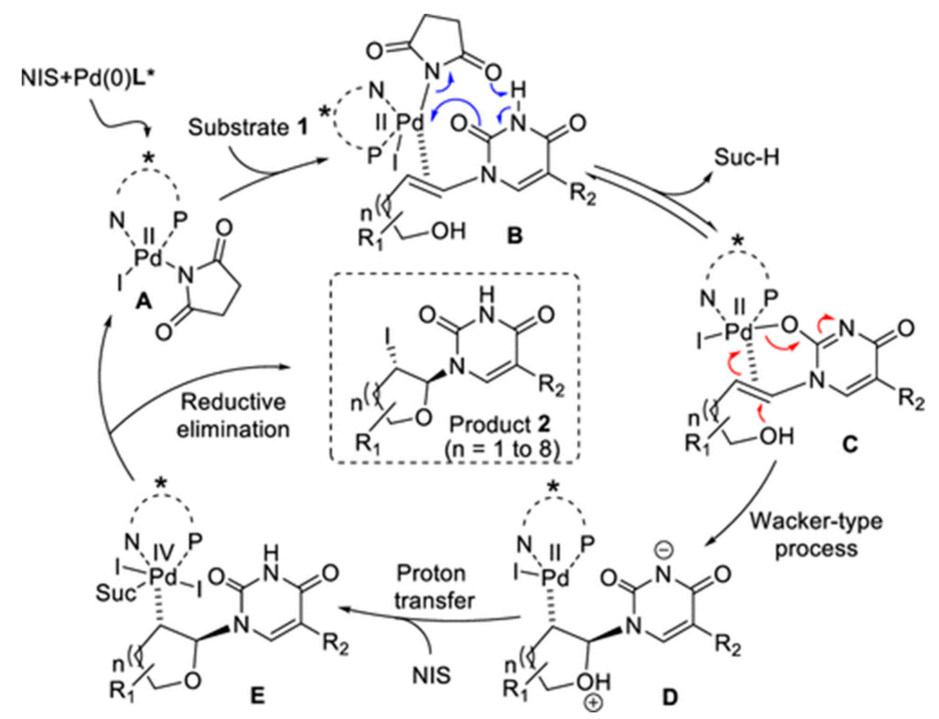 Molecules 28 07043 g003