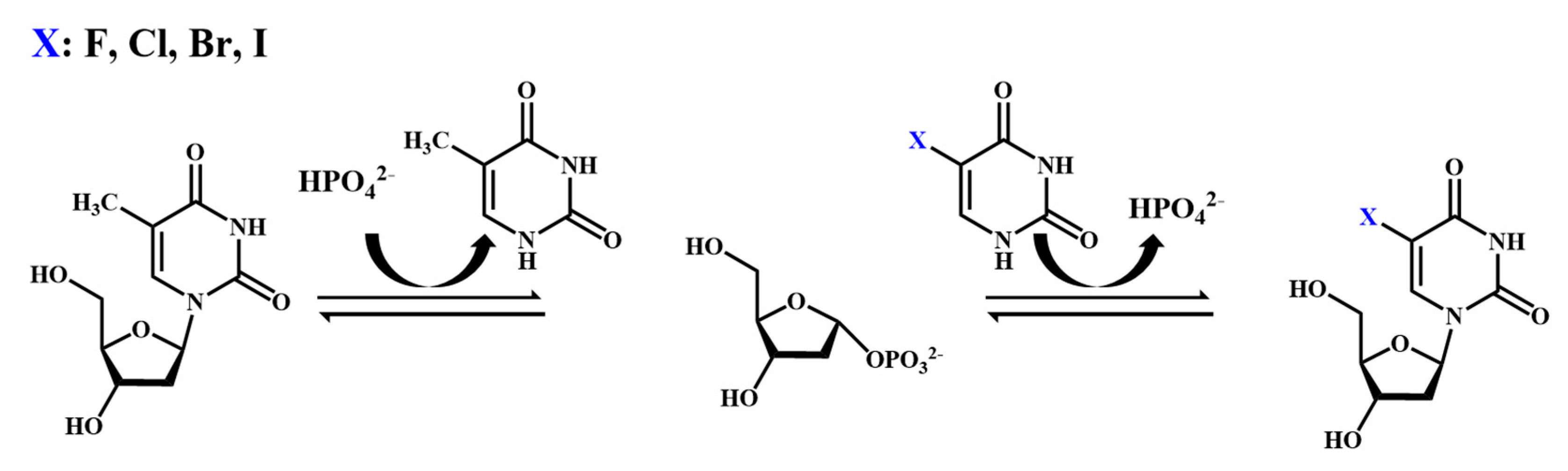 Molecules 28 07043 g004