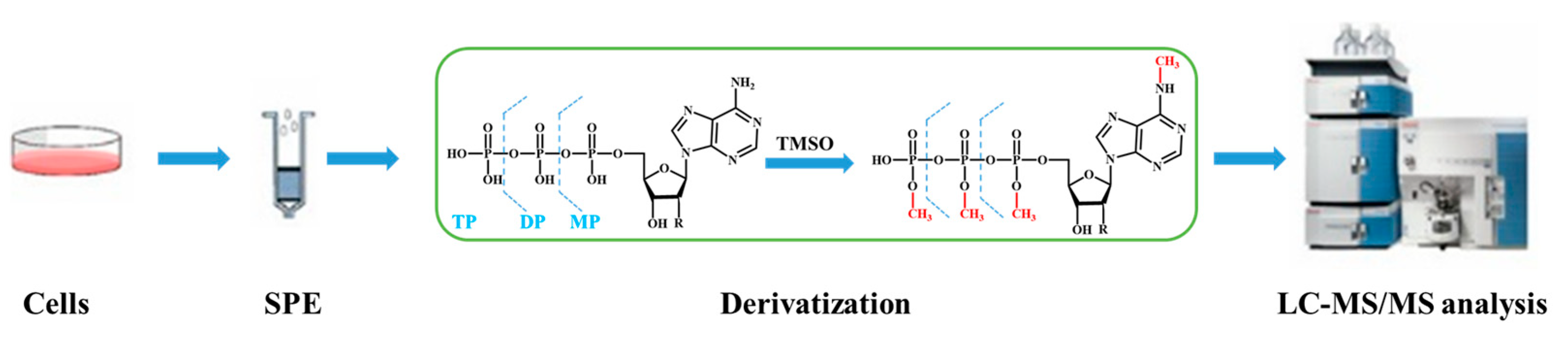 Molecules 28 07043 g005