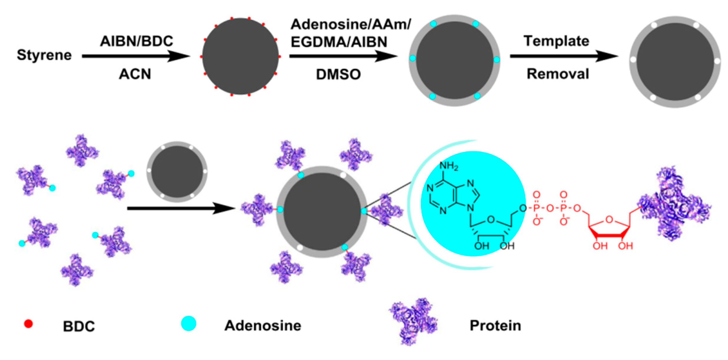 Molecules 28 07043 g008