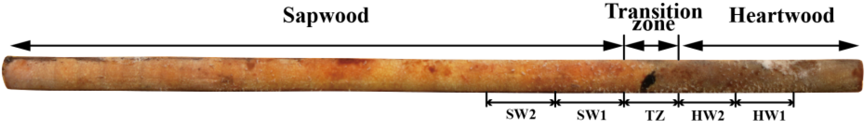 Molecules 28 07047 g009
