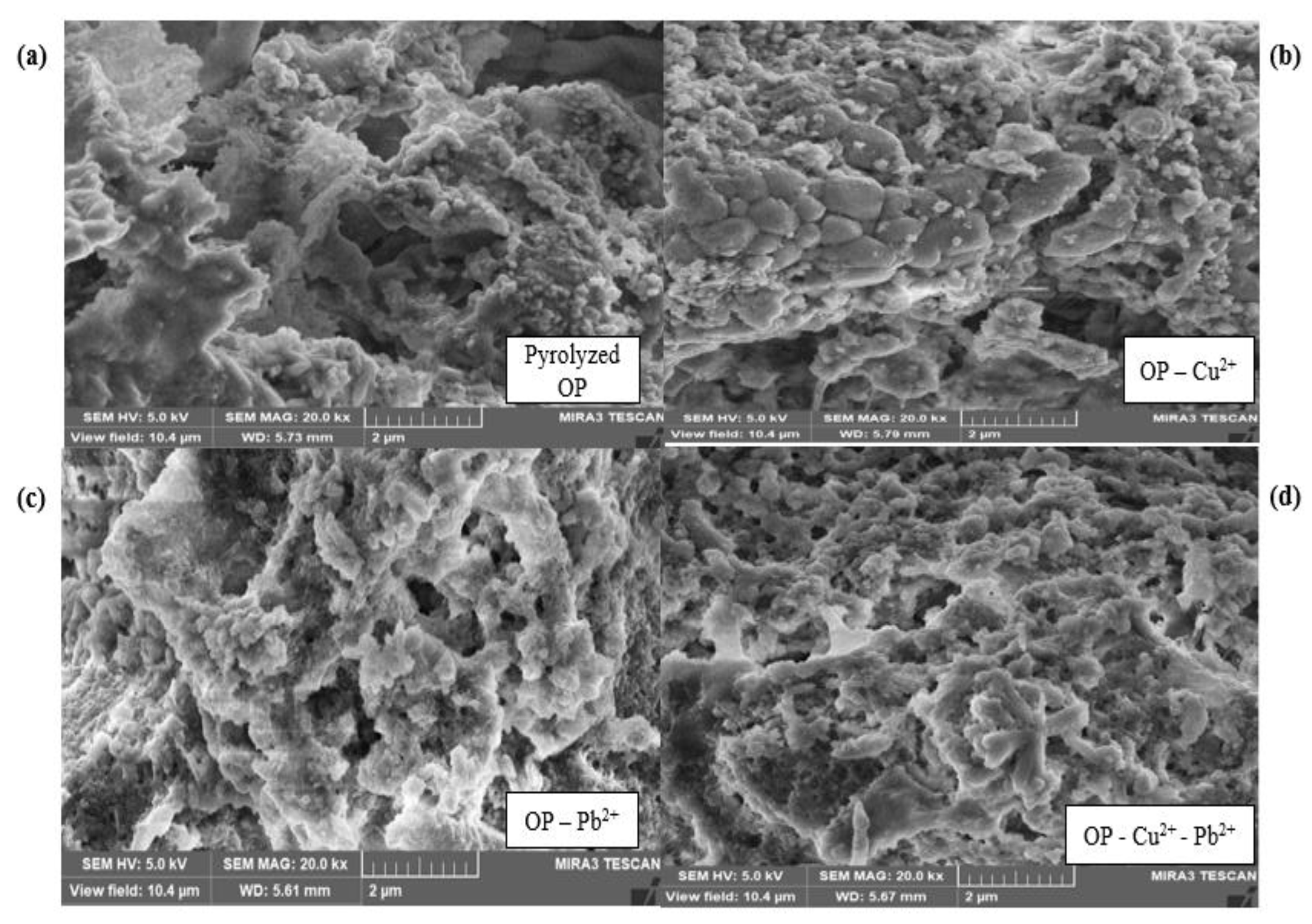 Molecules 28 07050 g004