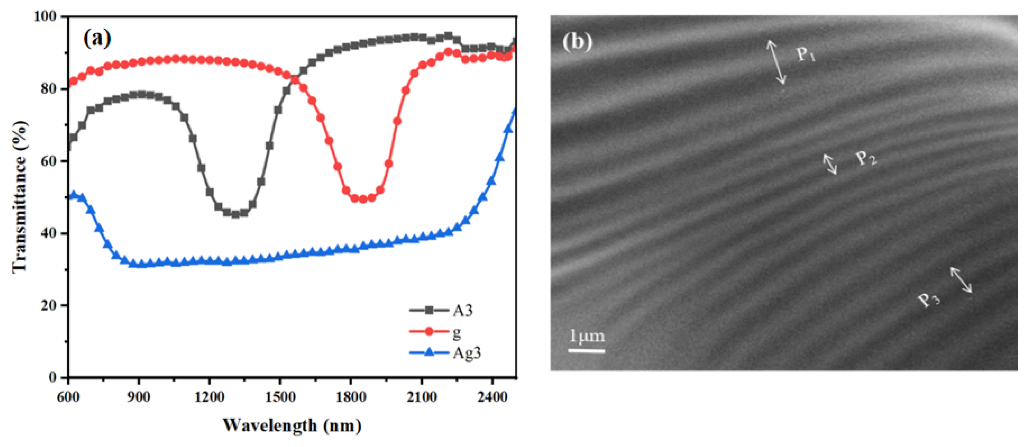 Molecules 28 07063 g006