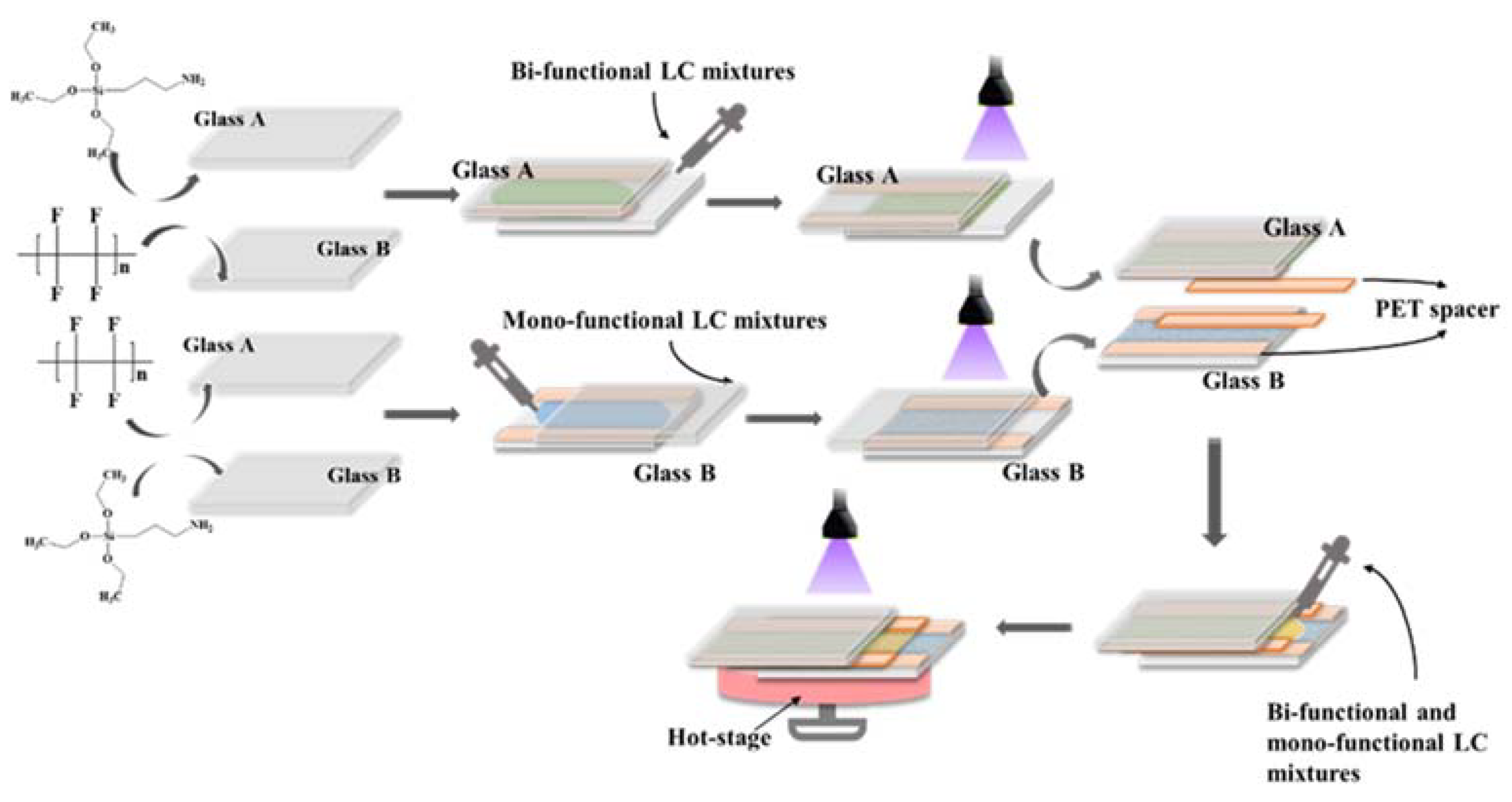 Molecules 28 07063 g008